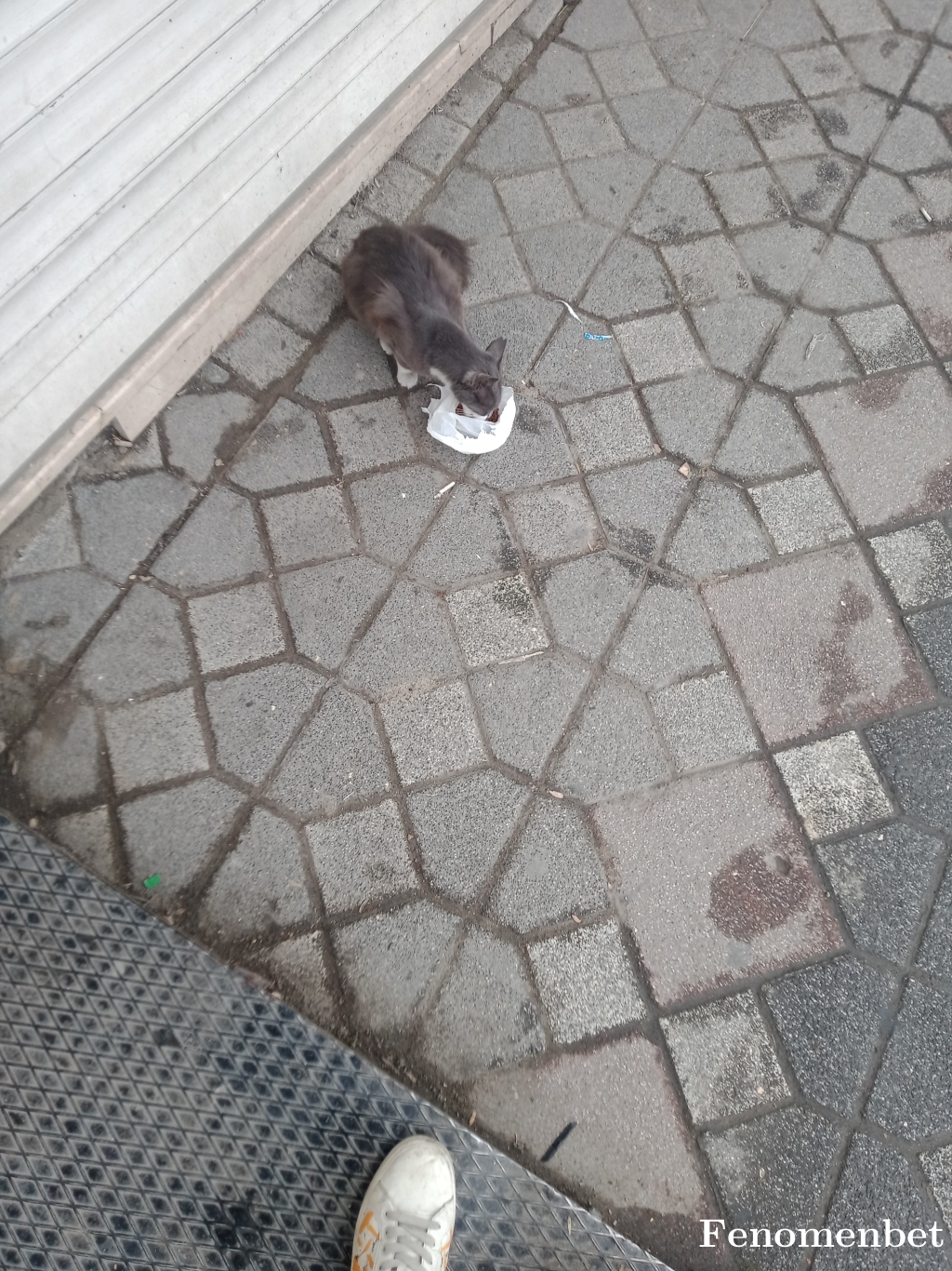 Drakariss tarafından paylaşıldı