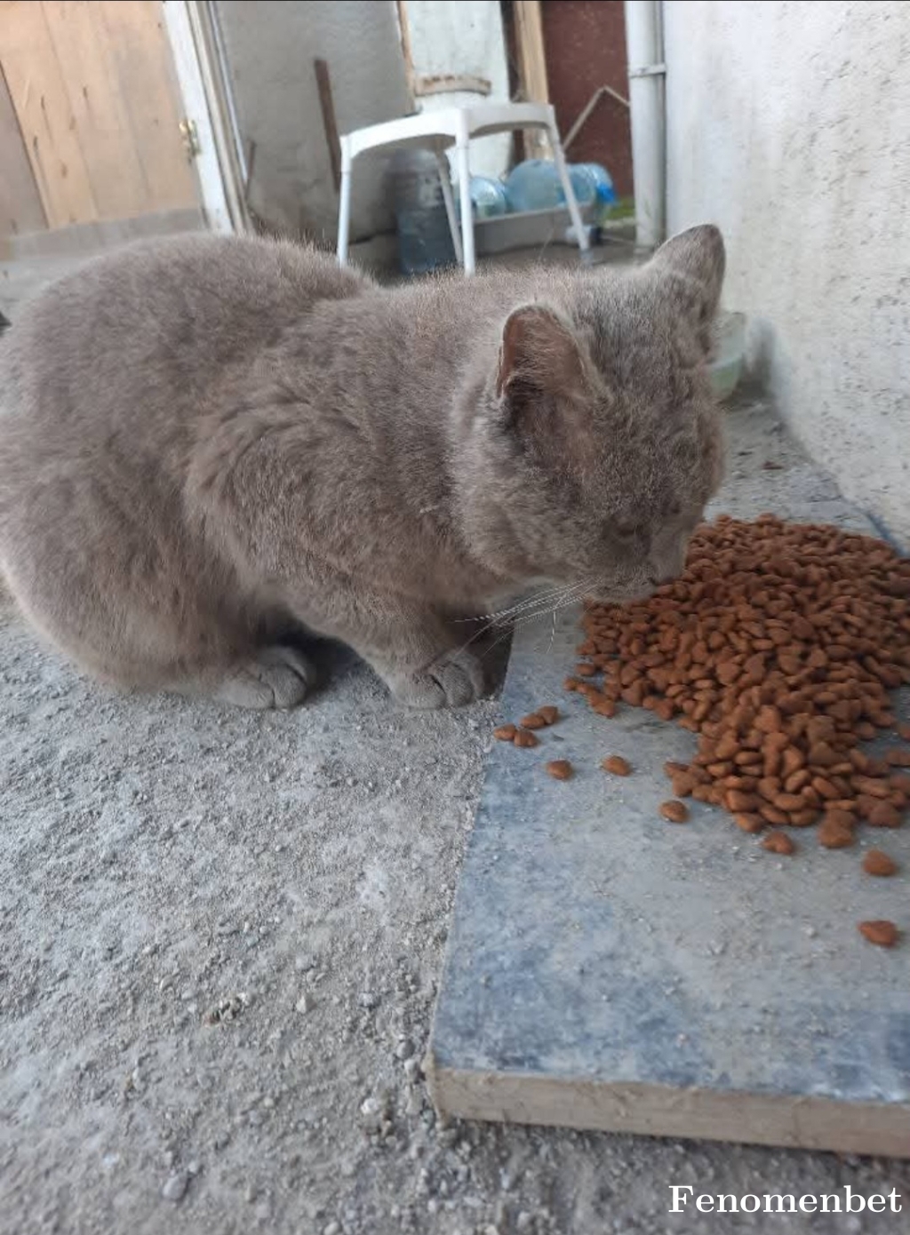 Byugur16 tarafından paylaşıldı