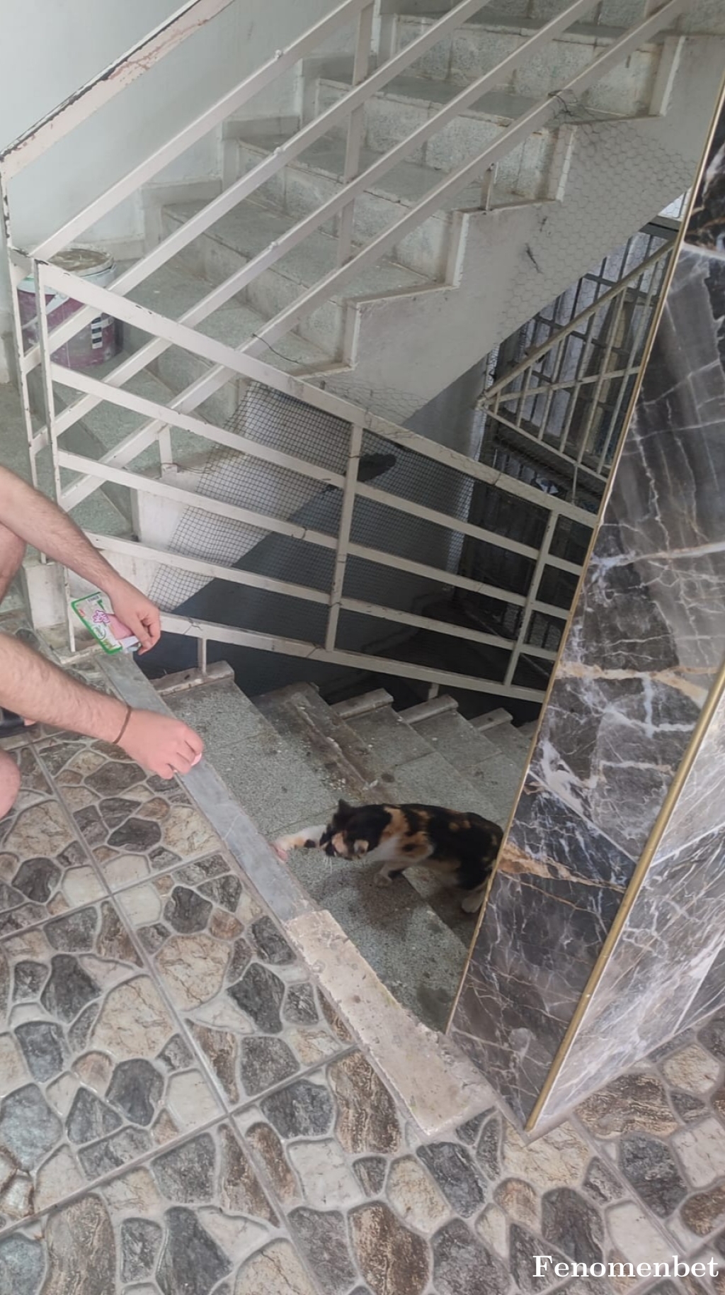 paryesa tarafından paylaşıldı