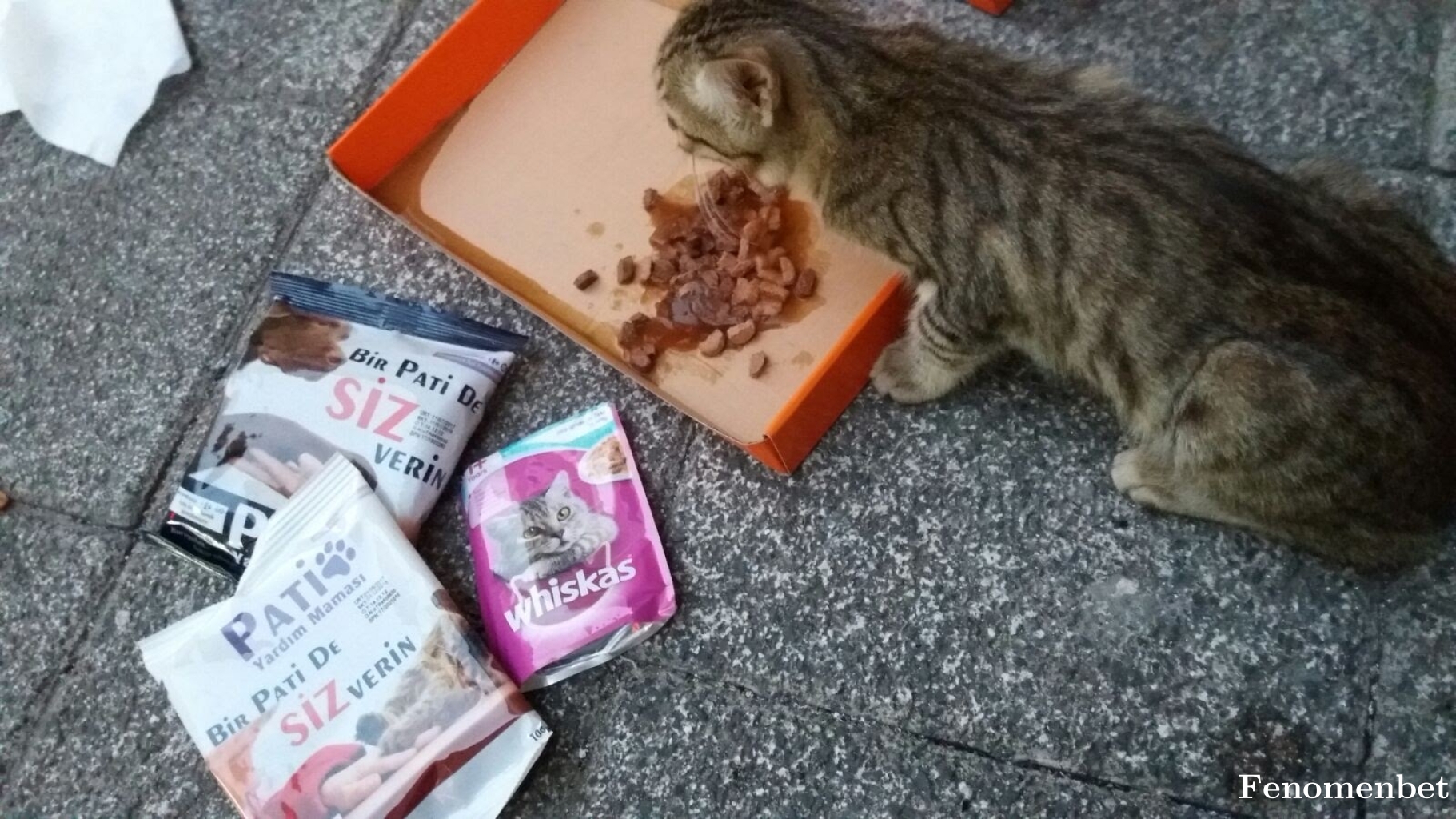 Nesrinbagci tarafından paylaşıldı