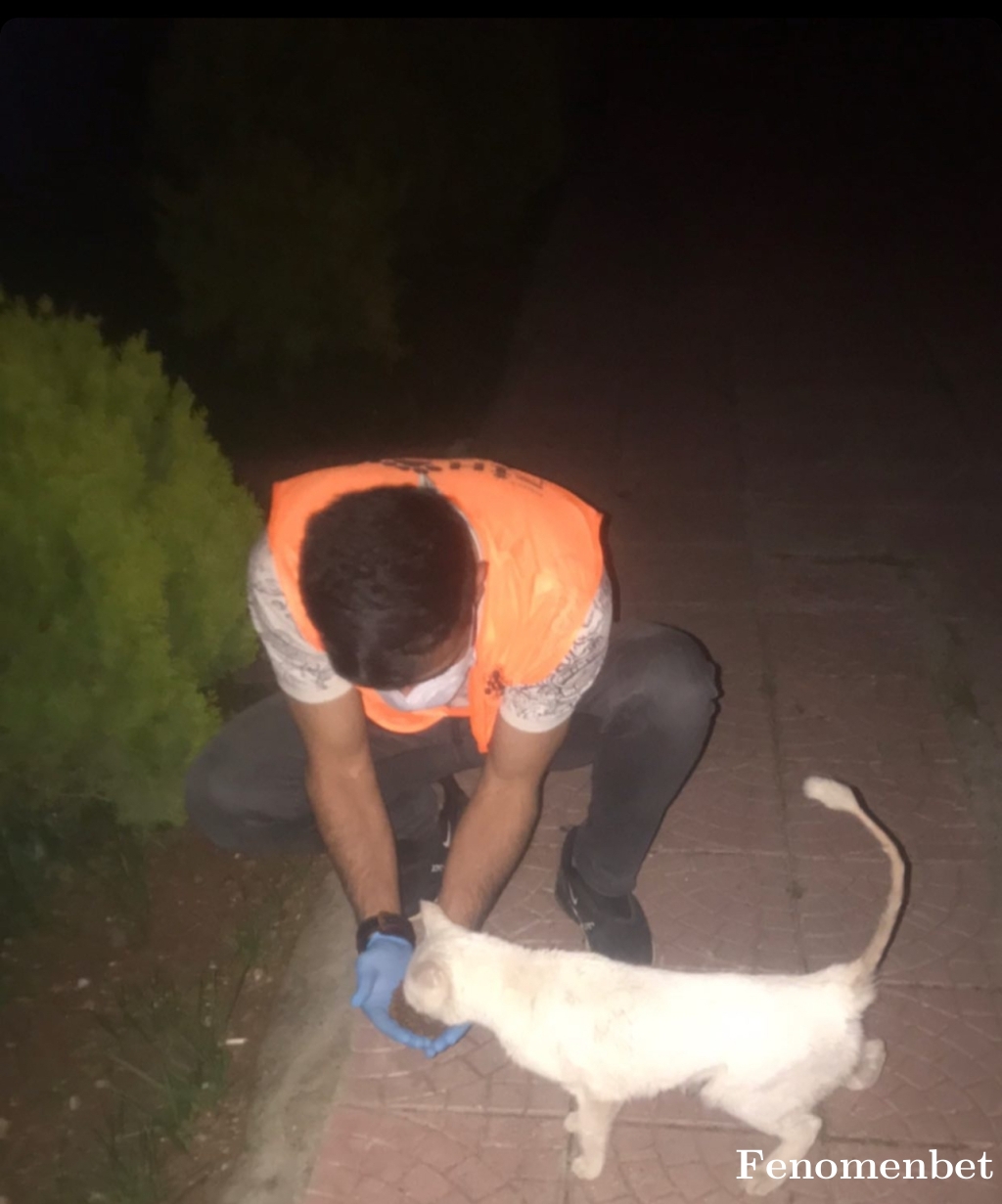 xumer56 tarafından paylaşıldı