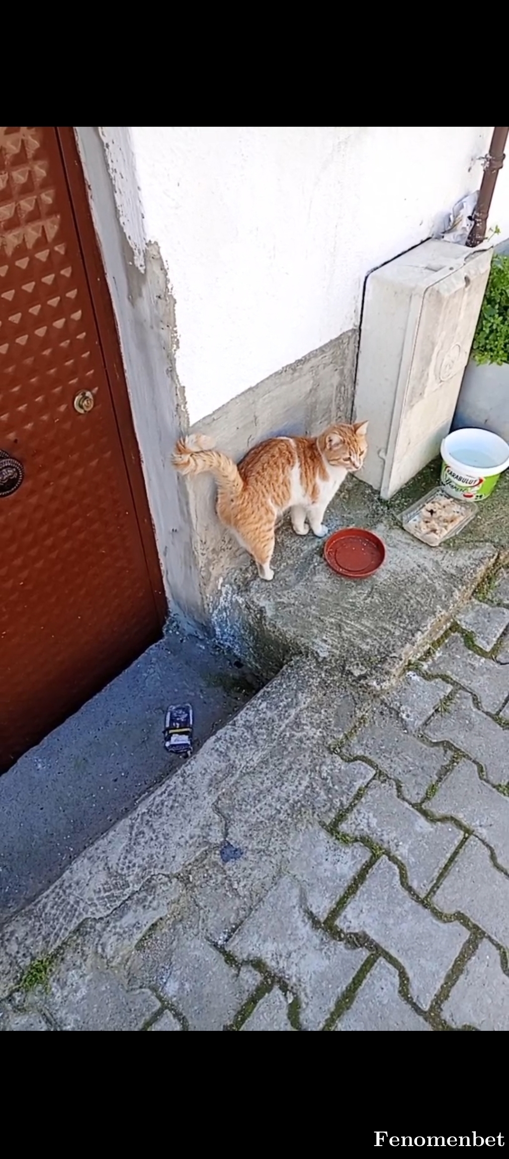 Bombom123 tarafından paylaşıldı