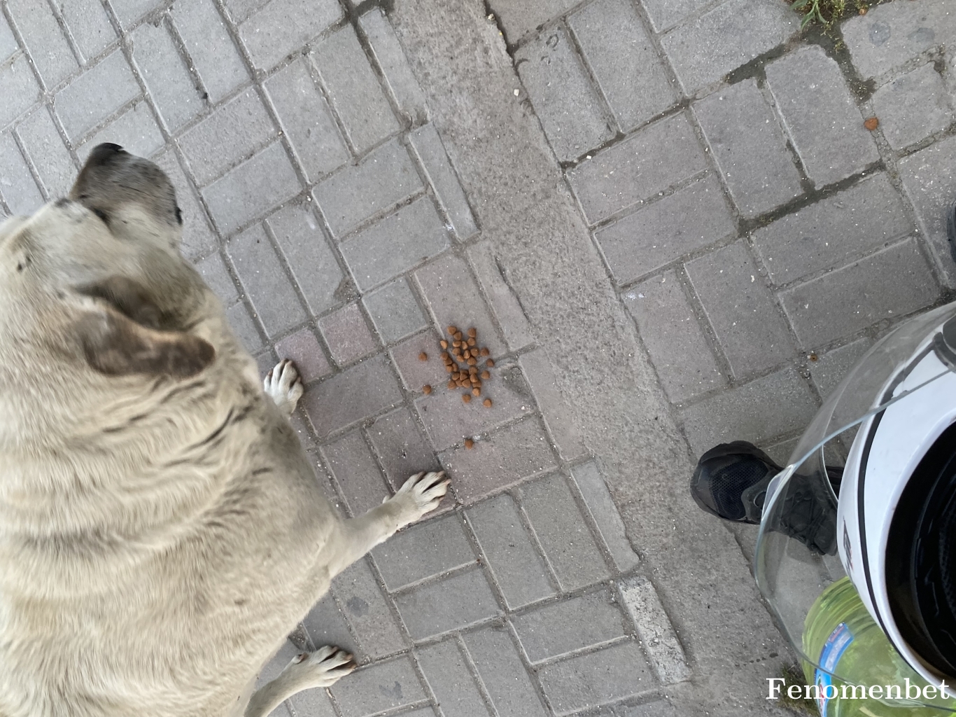 karakus3 tarafından paylaşıldı