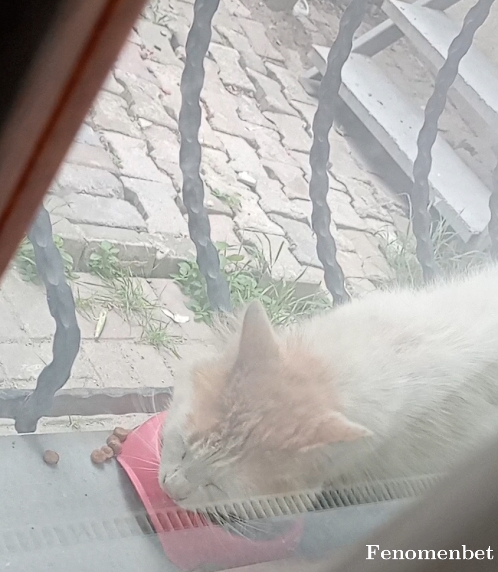 Seymaa5234 tarafından paylaşıldı