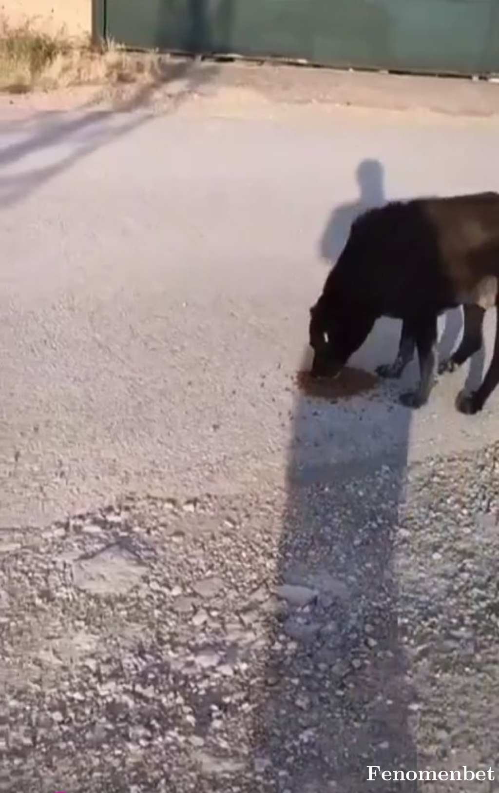 Erkanwert tarafından paylaşıldı