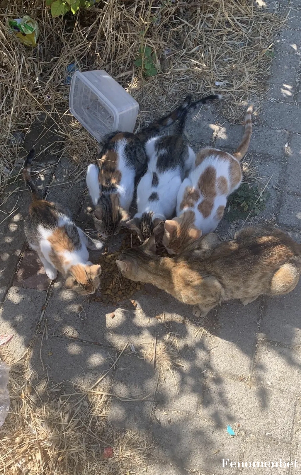 Bueno06780 tarafından paylaşıldı