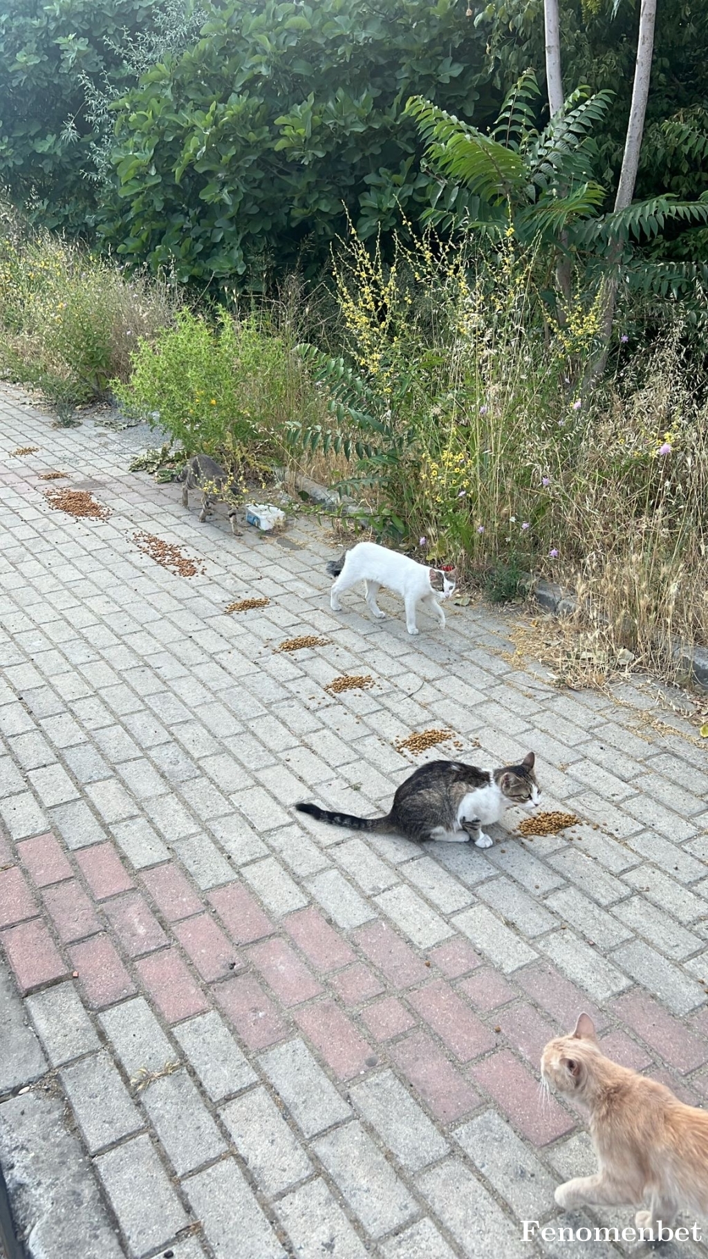 Canberkyagiz tarafından paylaşıldı