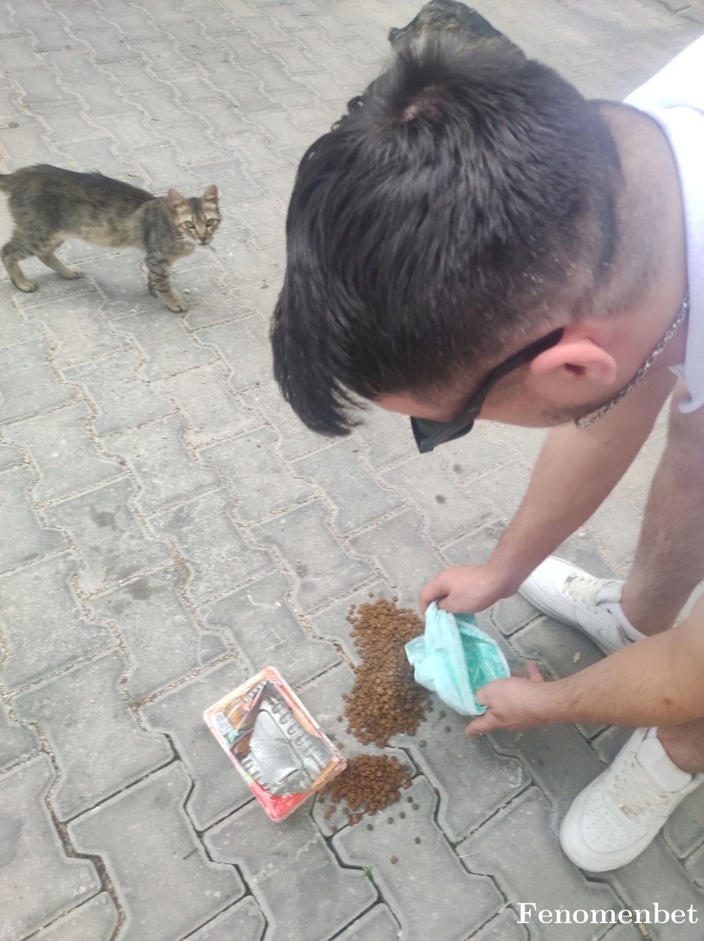 Cancan39 tarafından paylaşıldı