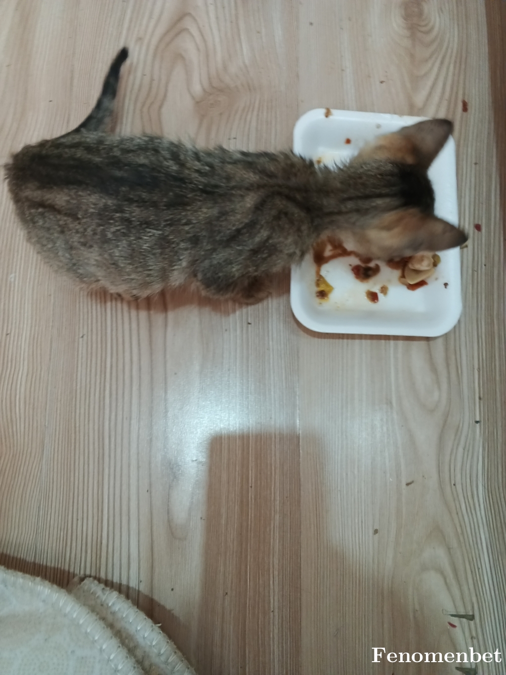 Tancu531 tarafından paylaşıldı