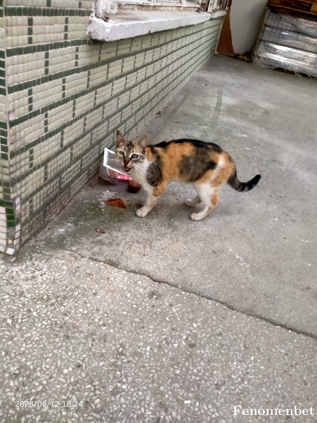 Furko1992  tarafından paylaşıldı