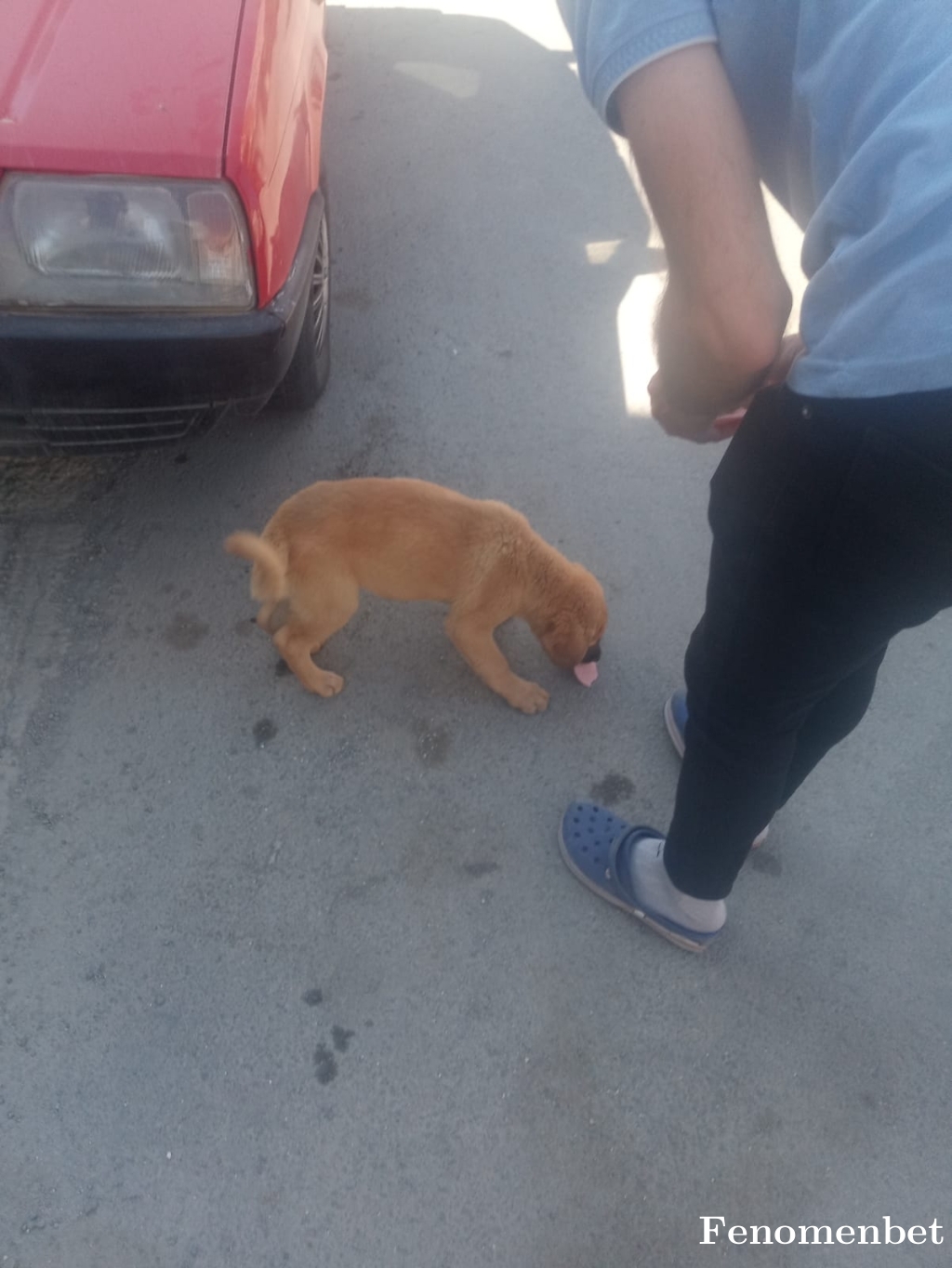 Mr_Bas tarafından paylaşıldı