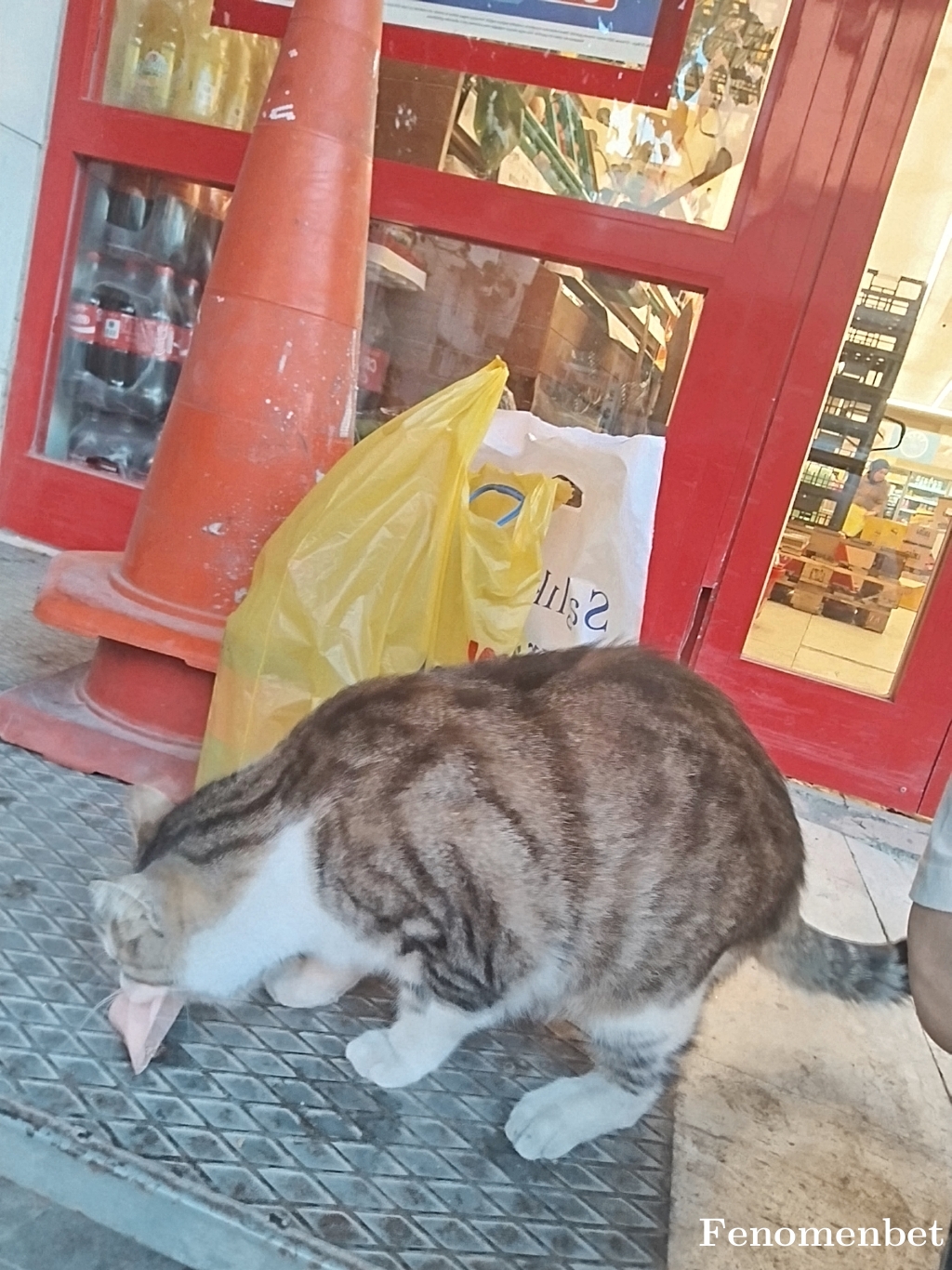 bozkurttwin tarafından paylaşıldı