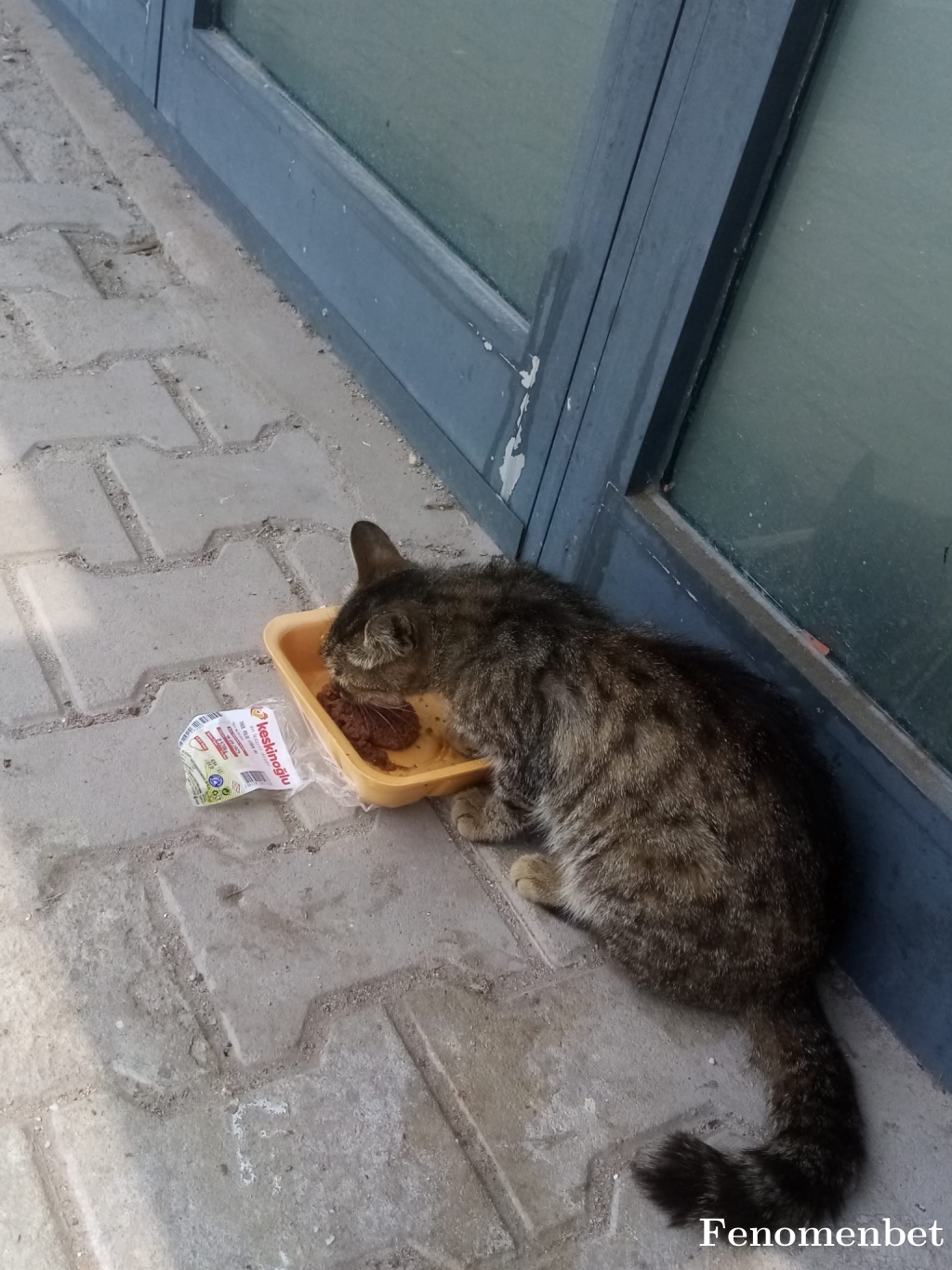 Niyazi6868 tarafından paylaşıldı