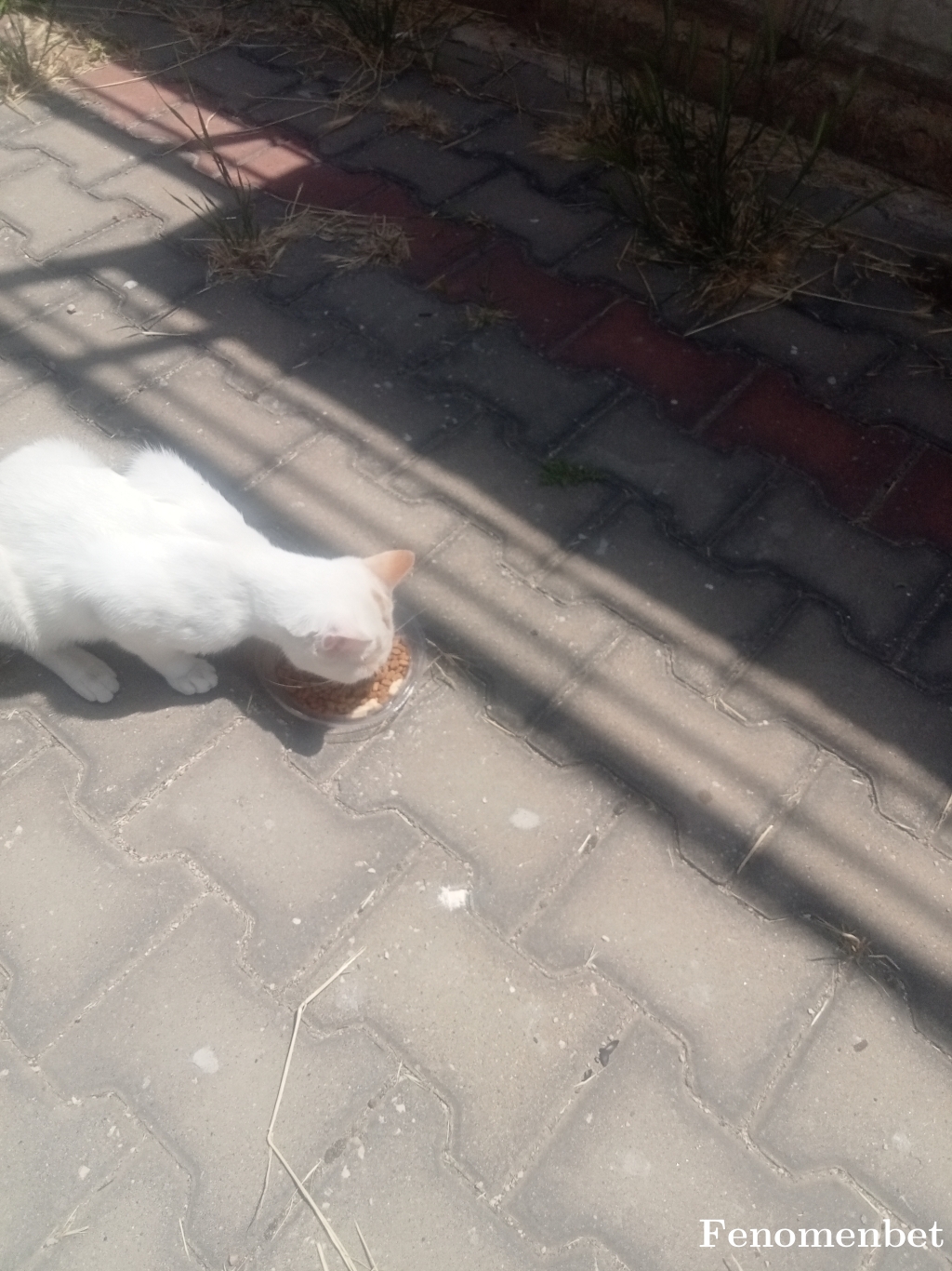 Tumo1616 tarafından paylaşıldı