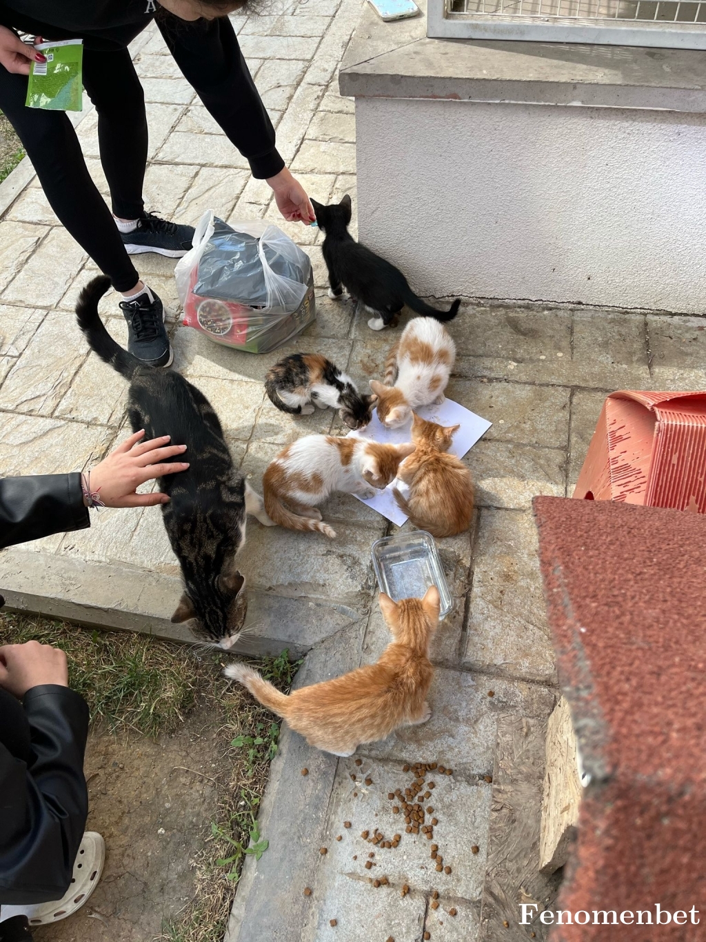 Kokelm tarafından paylaşıldı