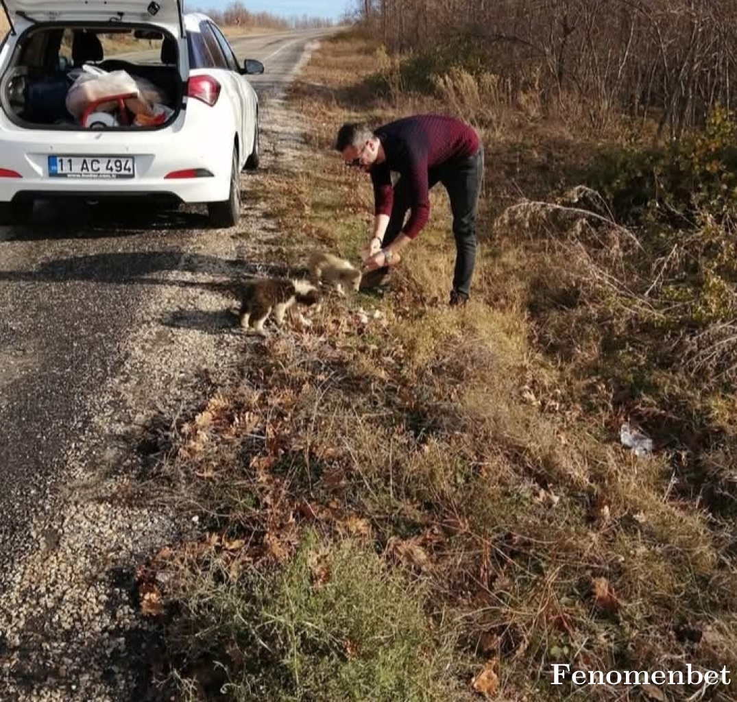 Sezgin125 tarafından paylaşıldı