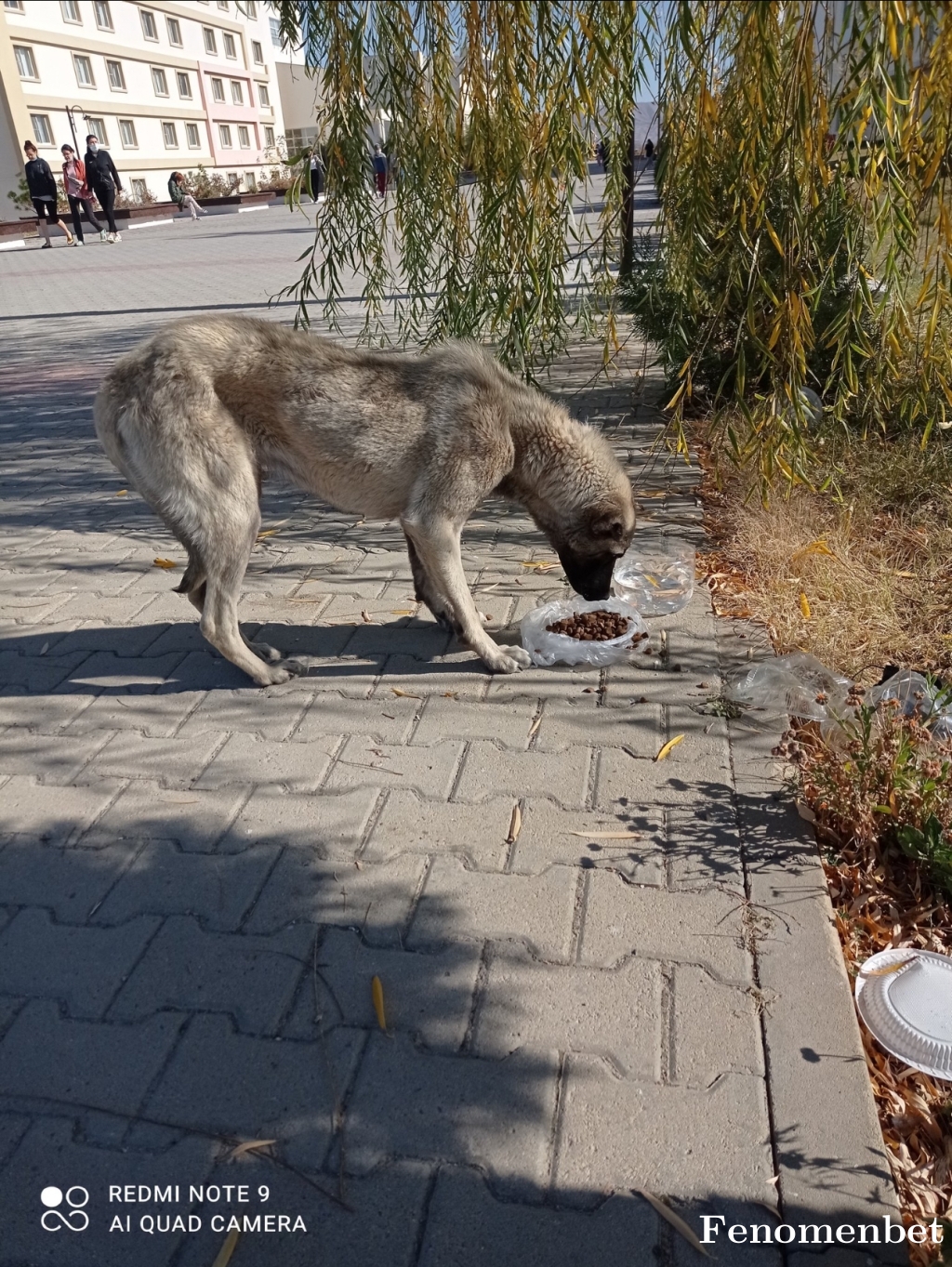 Yusuf8273 tarafından paylaşıldı