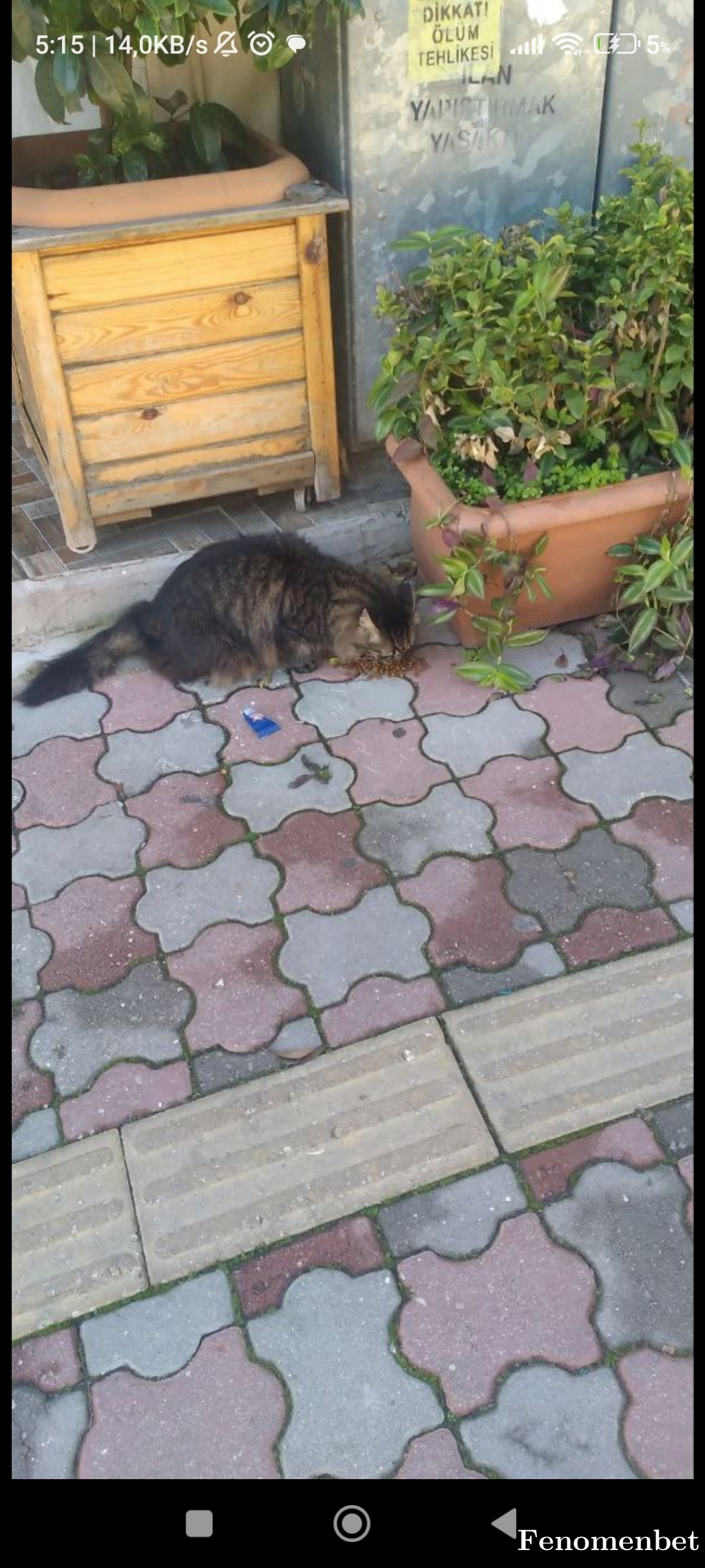 merbn tarafından paylaşıldı