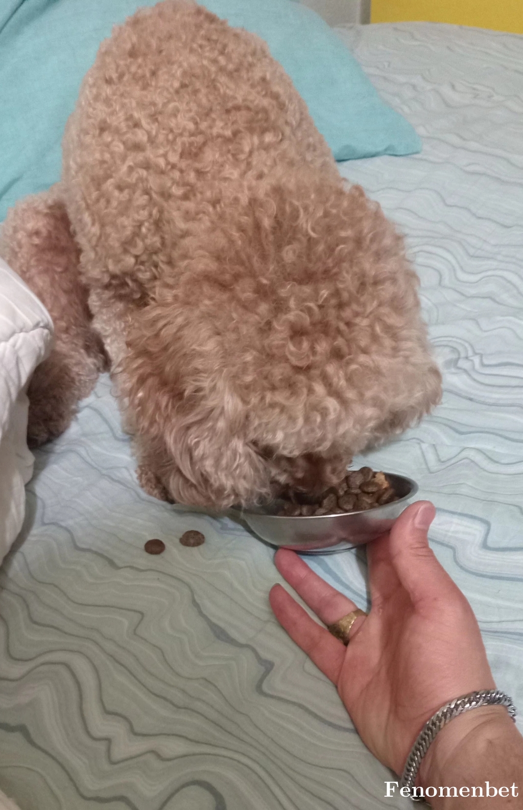Halilmert20 tarafından paylaşıldı