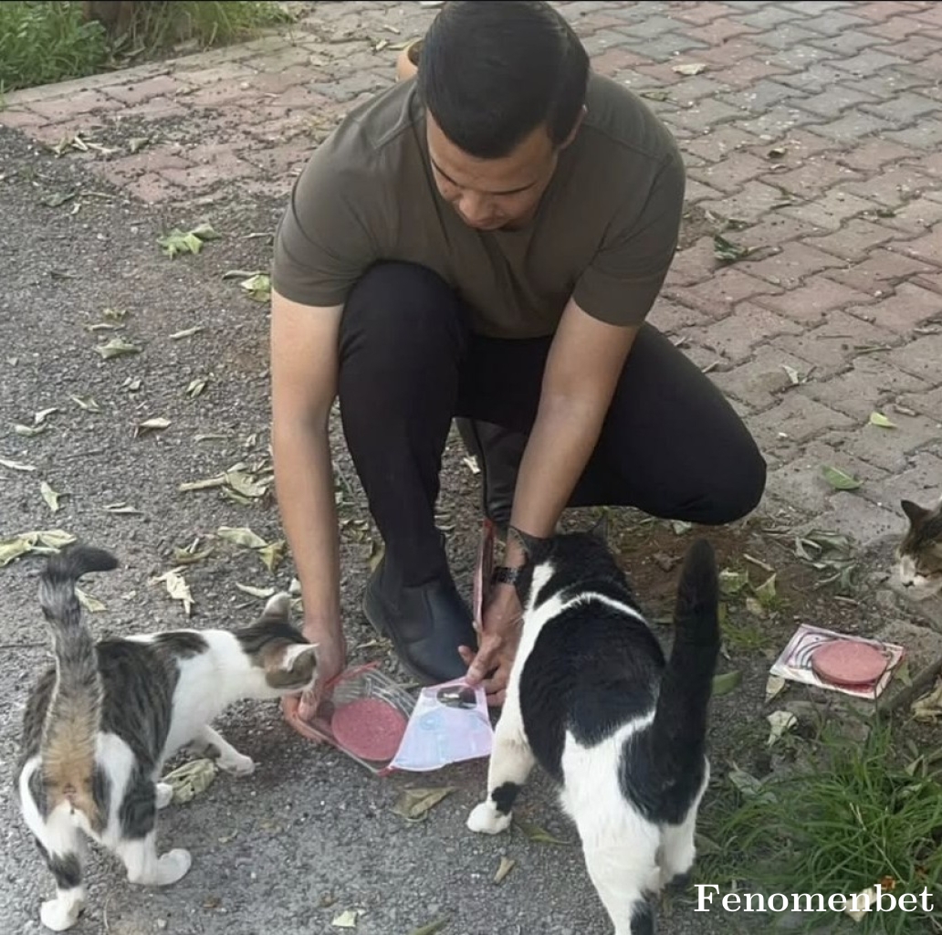 Musti421 tarafından paylaşıldı