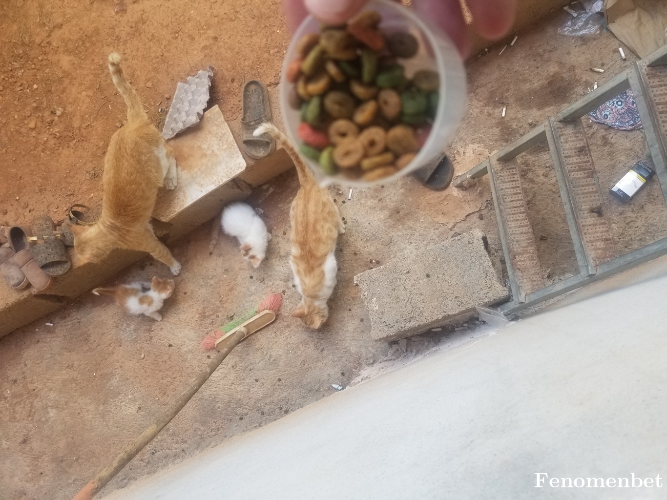 noke23 tarafından paylaşıldı