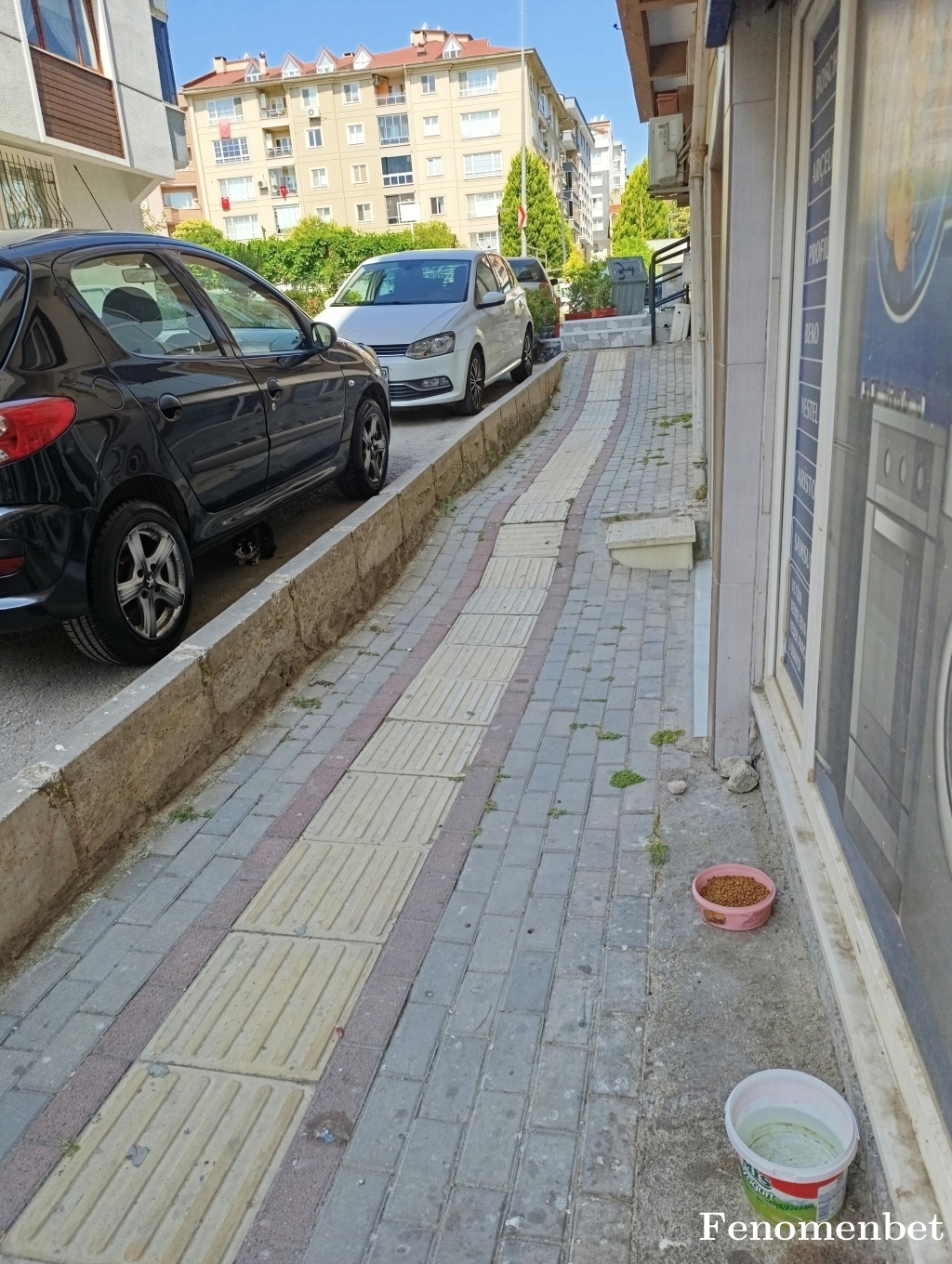 Berkelarv tarafından paylaşıldı