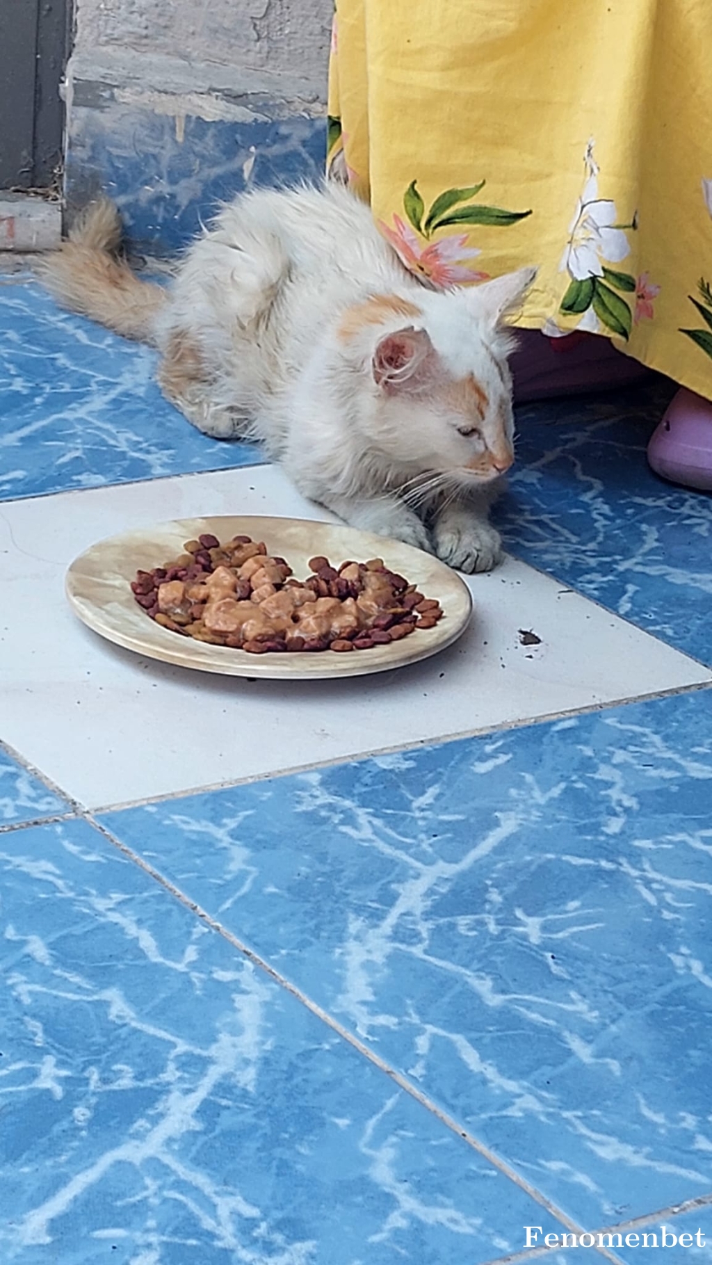 Sevhay tarafından paylaşıldı