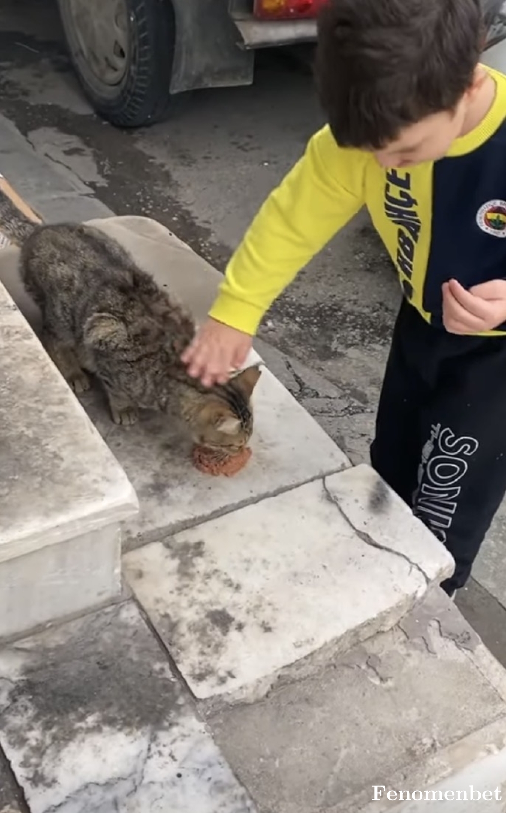MRVSH tarafından paylaşıldı