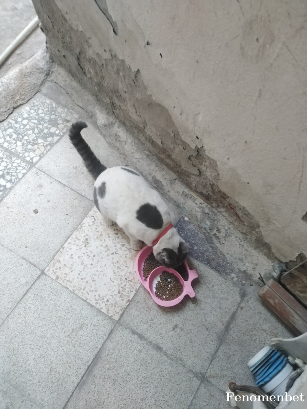 Ssero35 tarafından paylaşıldı