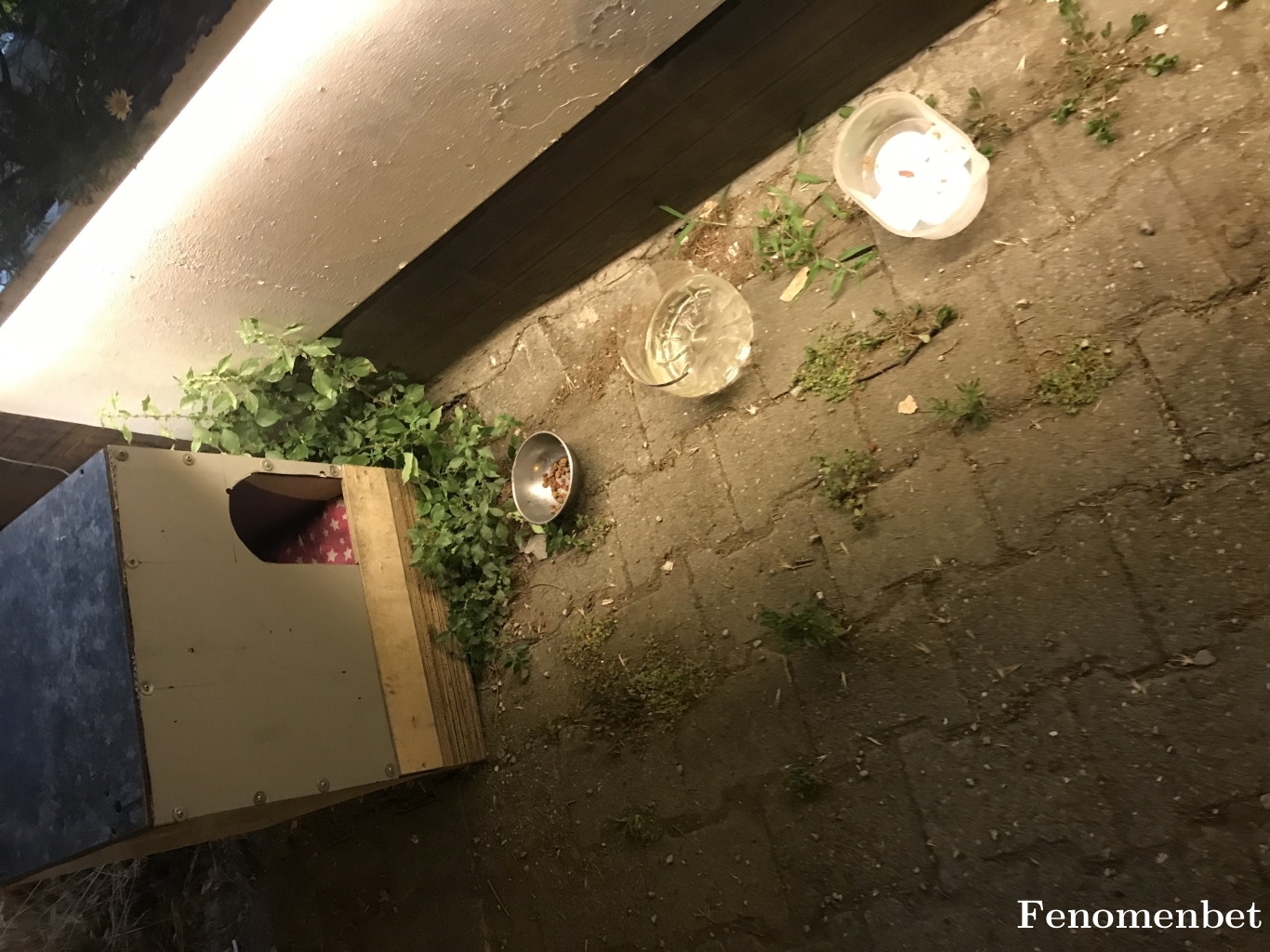 taskara238 tarafından paylaşıldı