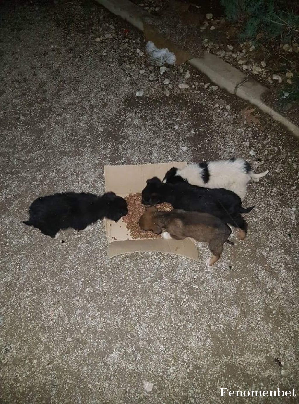 Sahancolak tarafından paylaşıldı