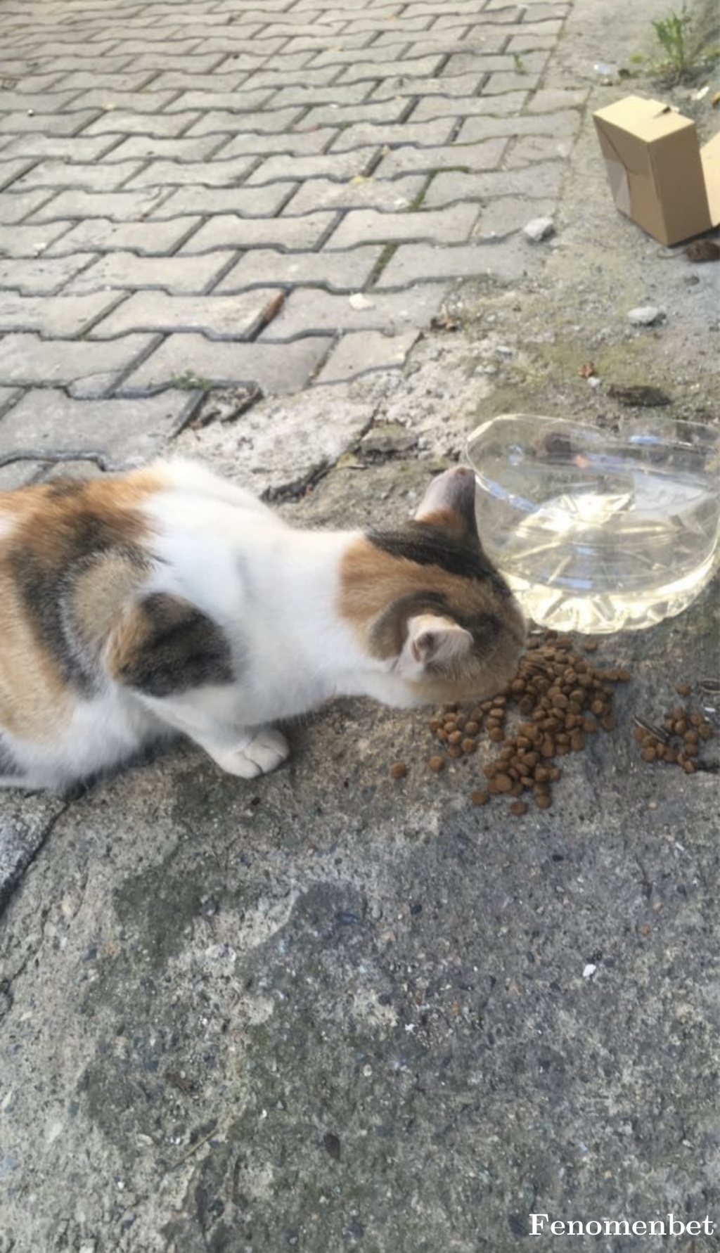 Mrsparker tarafından paylaşıldı