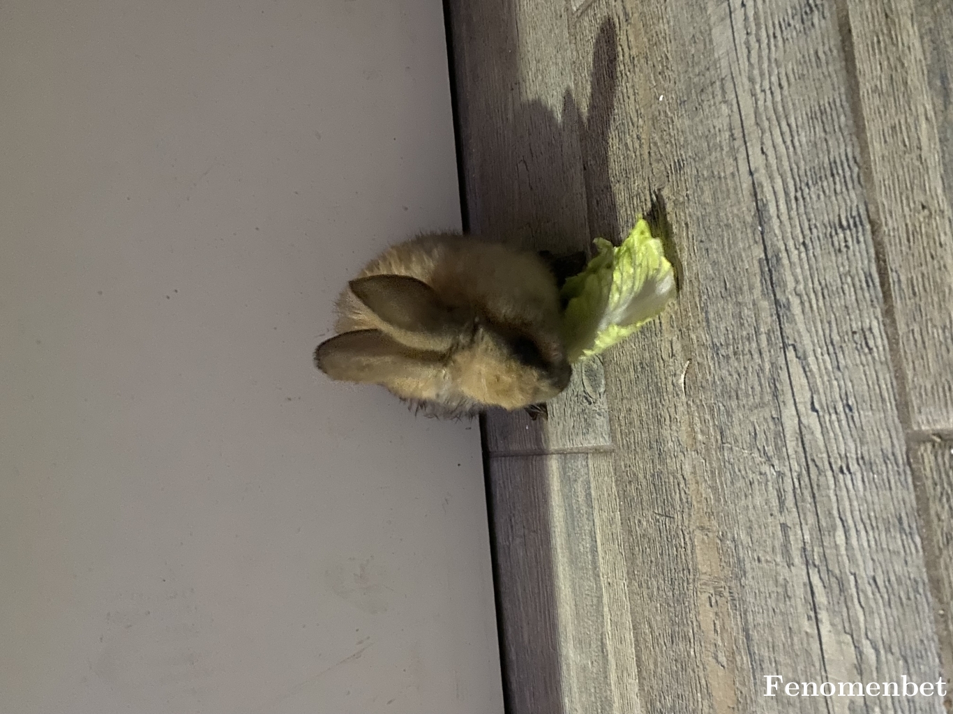 Mehmet2158 tarafından paylaşıldı