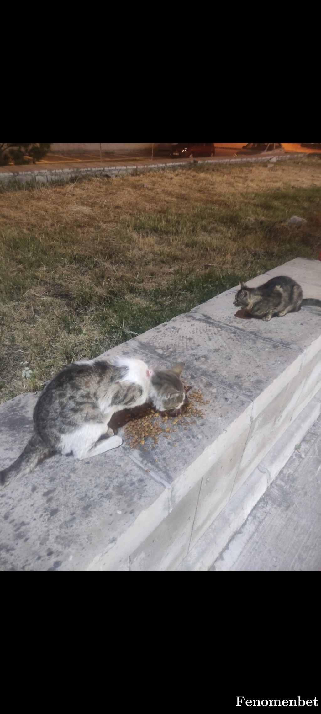 Kestane38 tarafından paylaşıldı