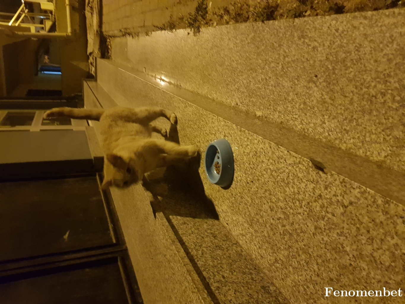 34gogo52 tarafından paylaşıldı