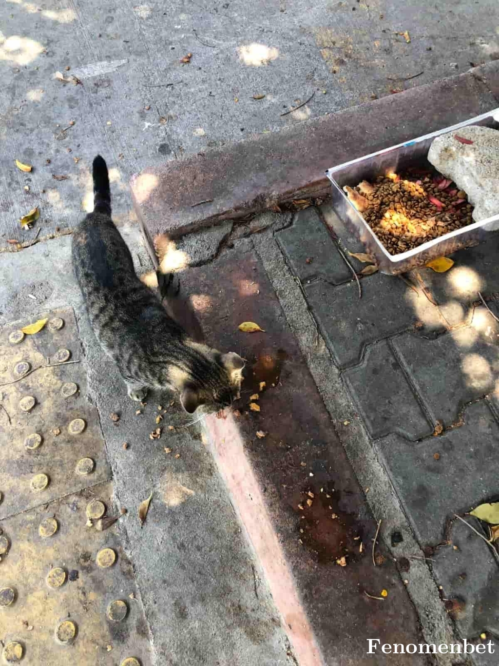 M3m3t tarafından paylaşıldı