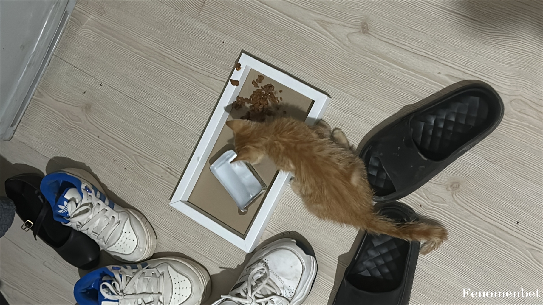 Mlhgn21 tarafından paylaşıldı
