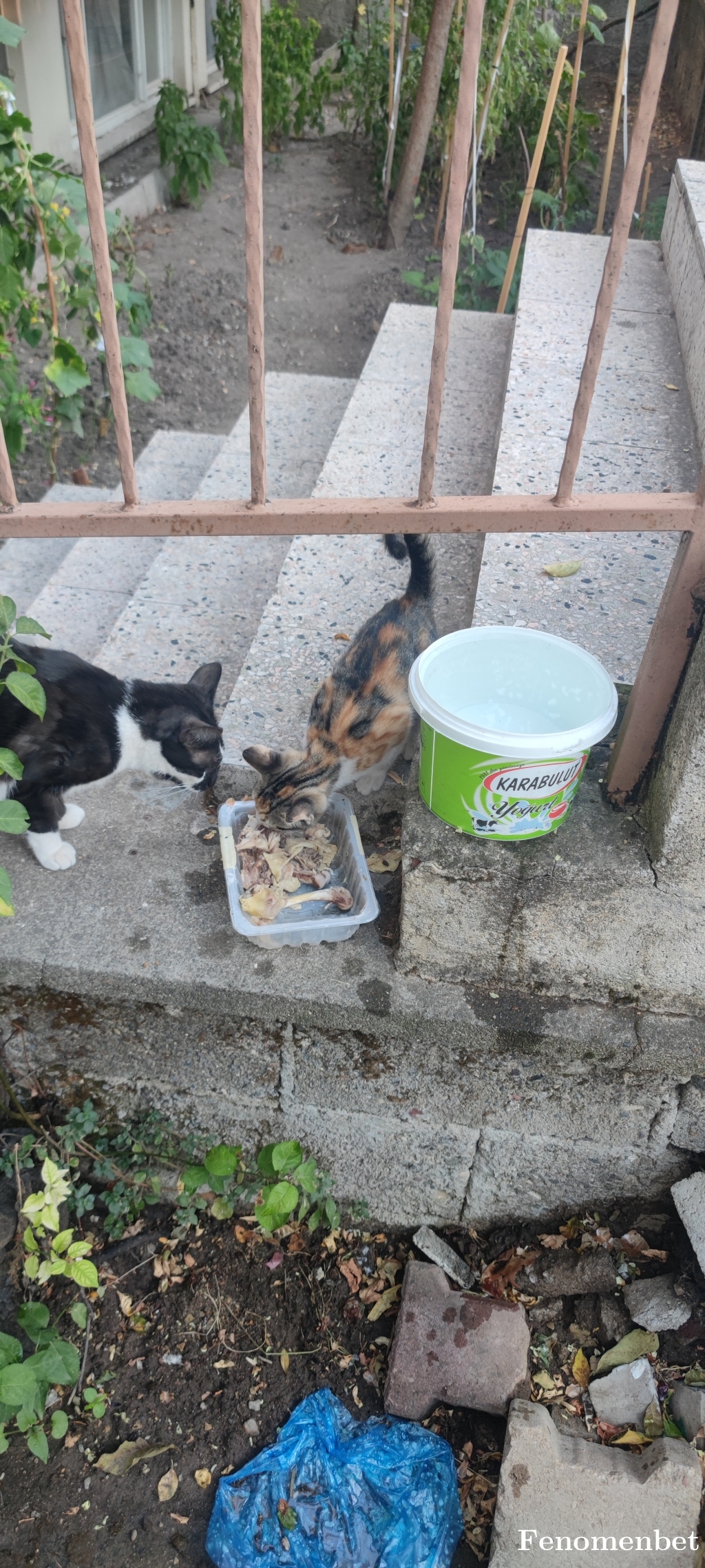 Mbuluter  tarafından paylaşıldı