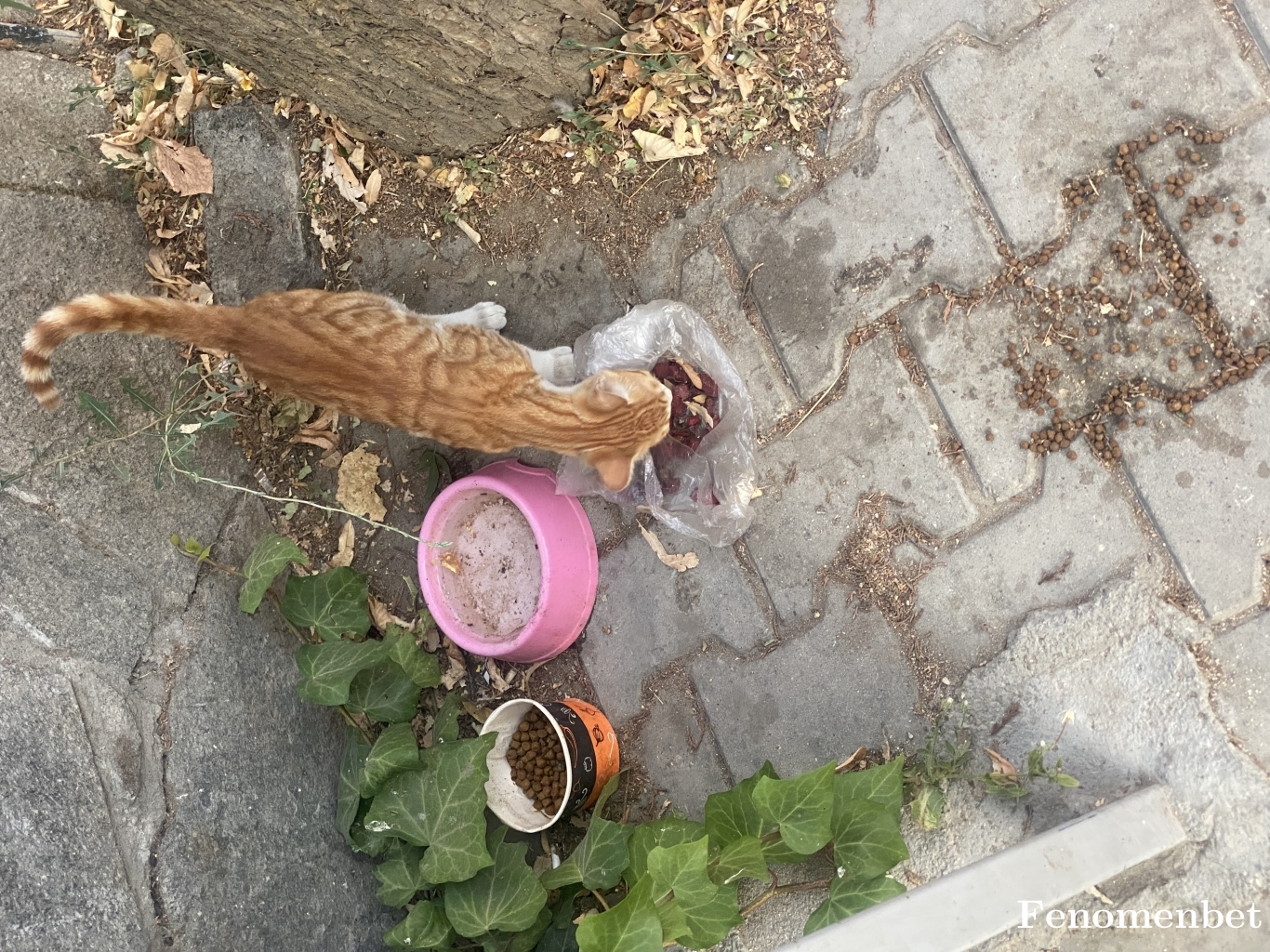 Berkangks27 tarafından paylaşıldı