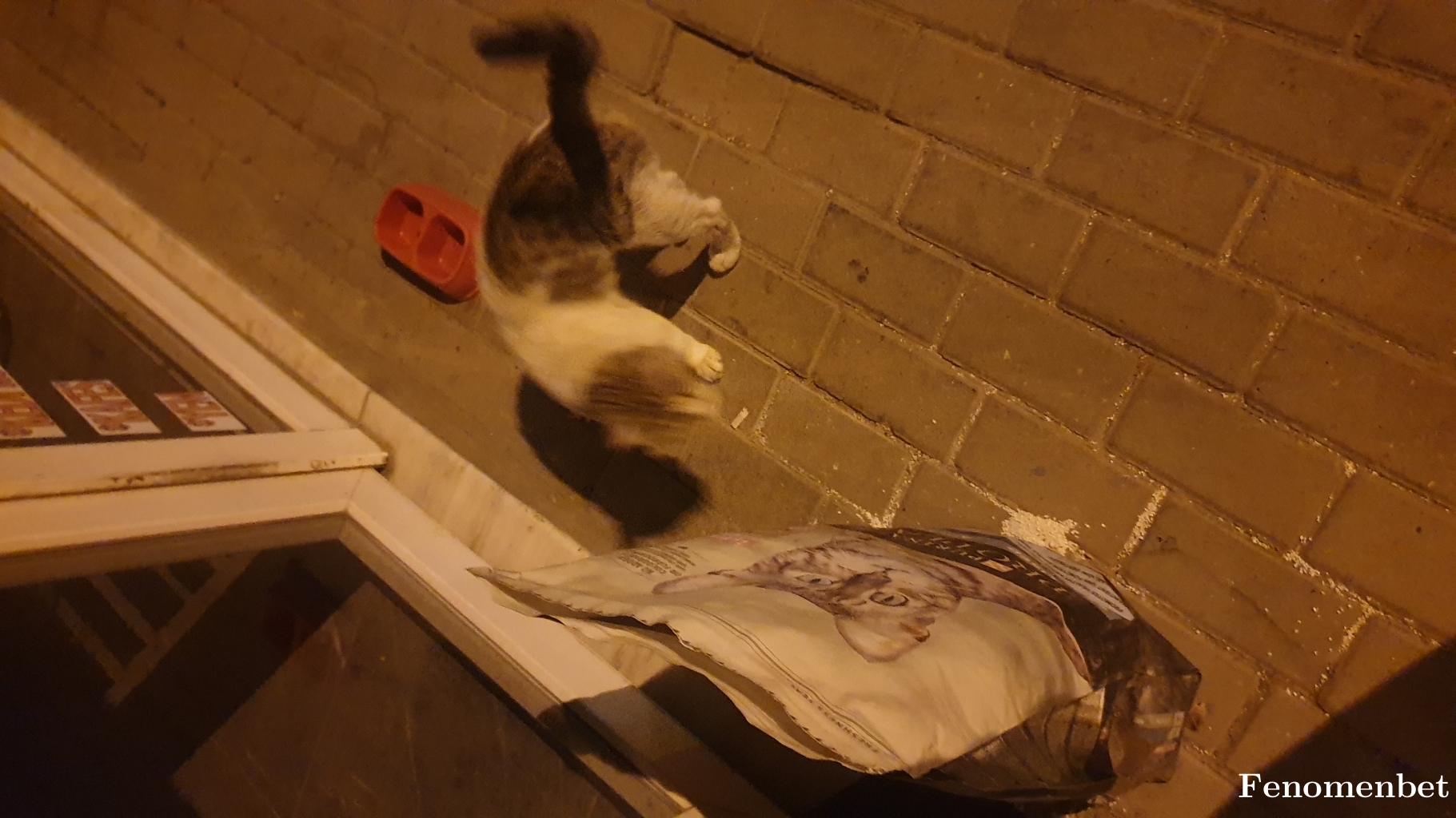 Yildiz1999  tarafından paylaşıldı