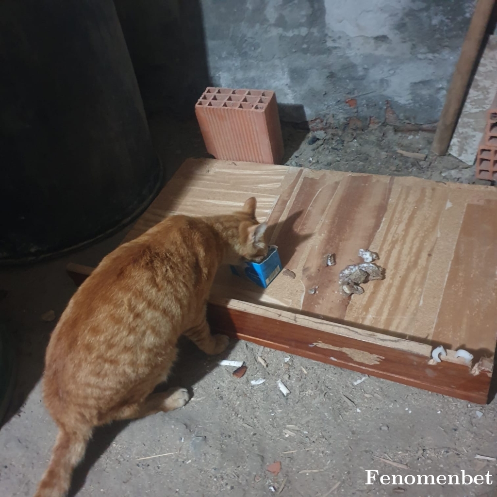 tuncay1313 tarafından paylaşıldı