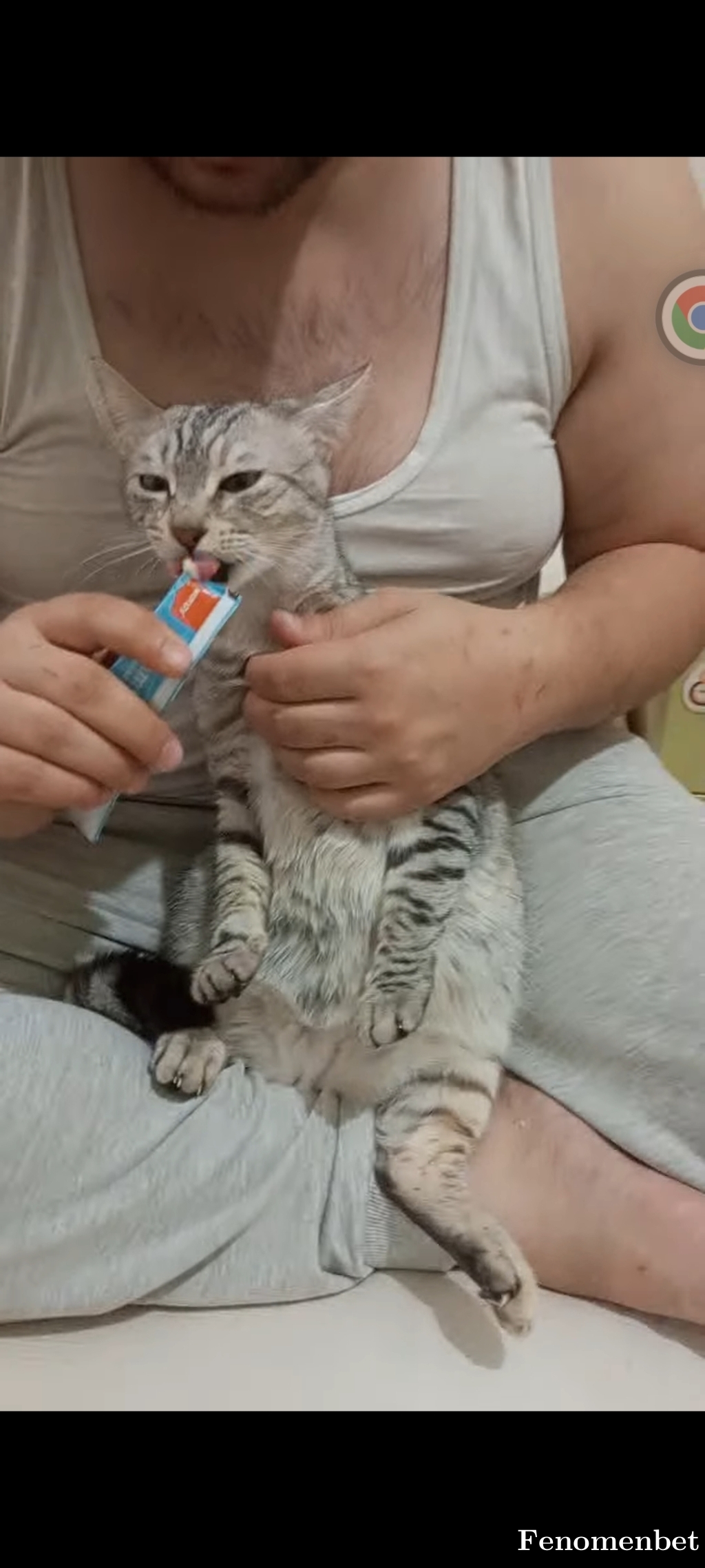 Cayyy tarafından paylaşıldı