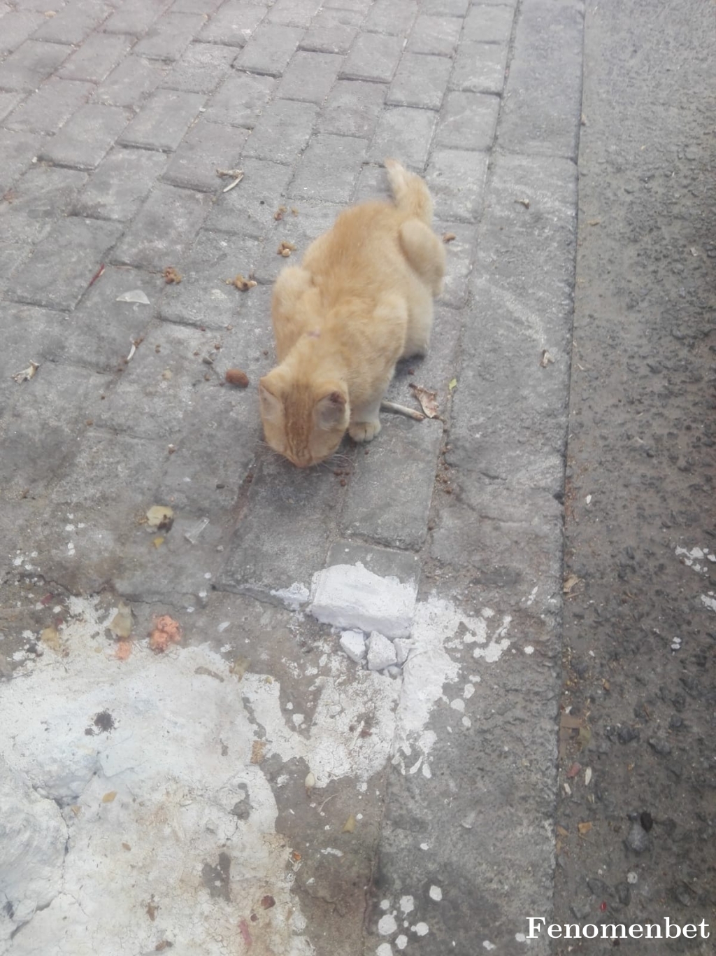 Kenanekinci tarafından paylaşıldı