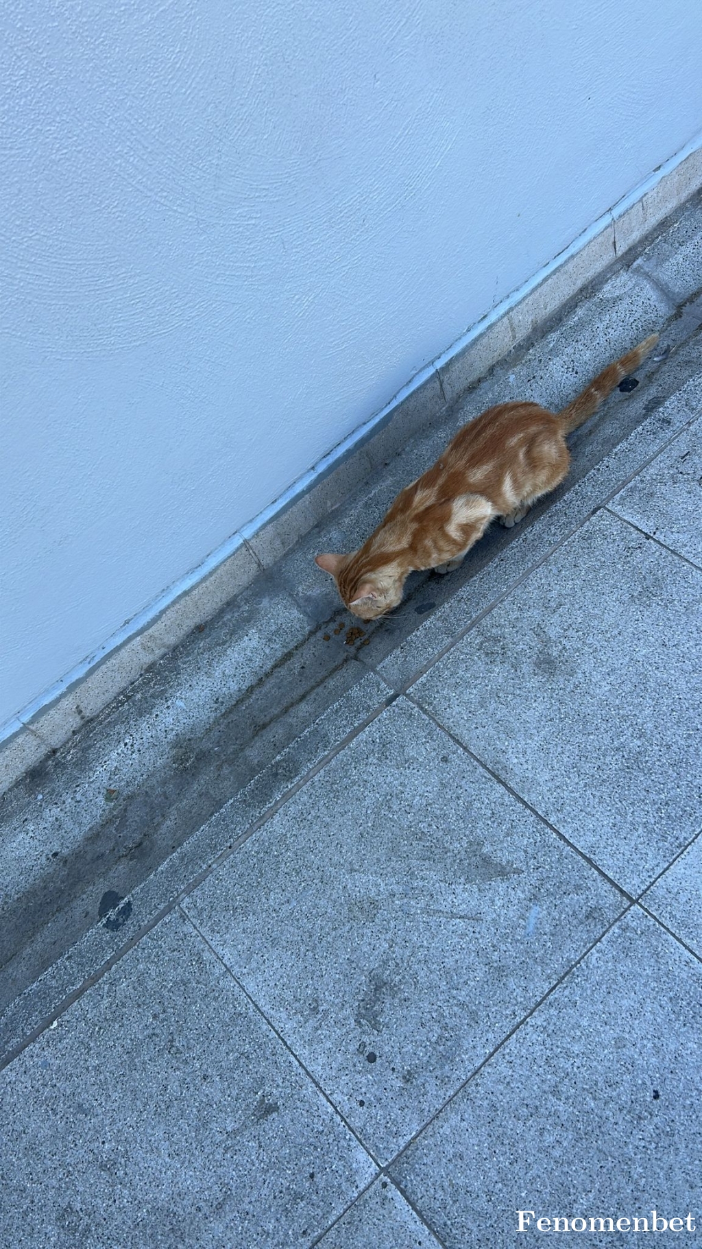 Aad35 tarafından paylaşıldı