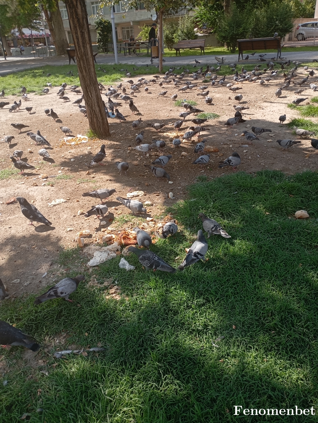 Selmaipk tarafından paylaşıldı