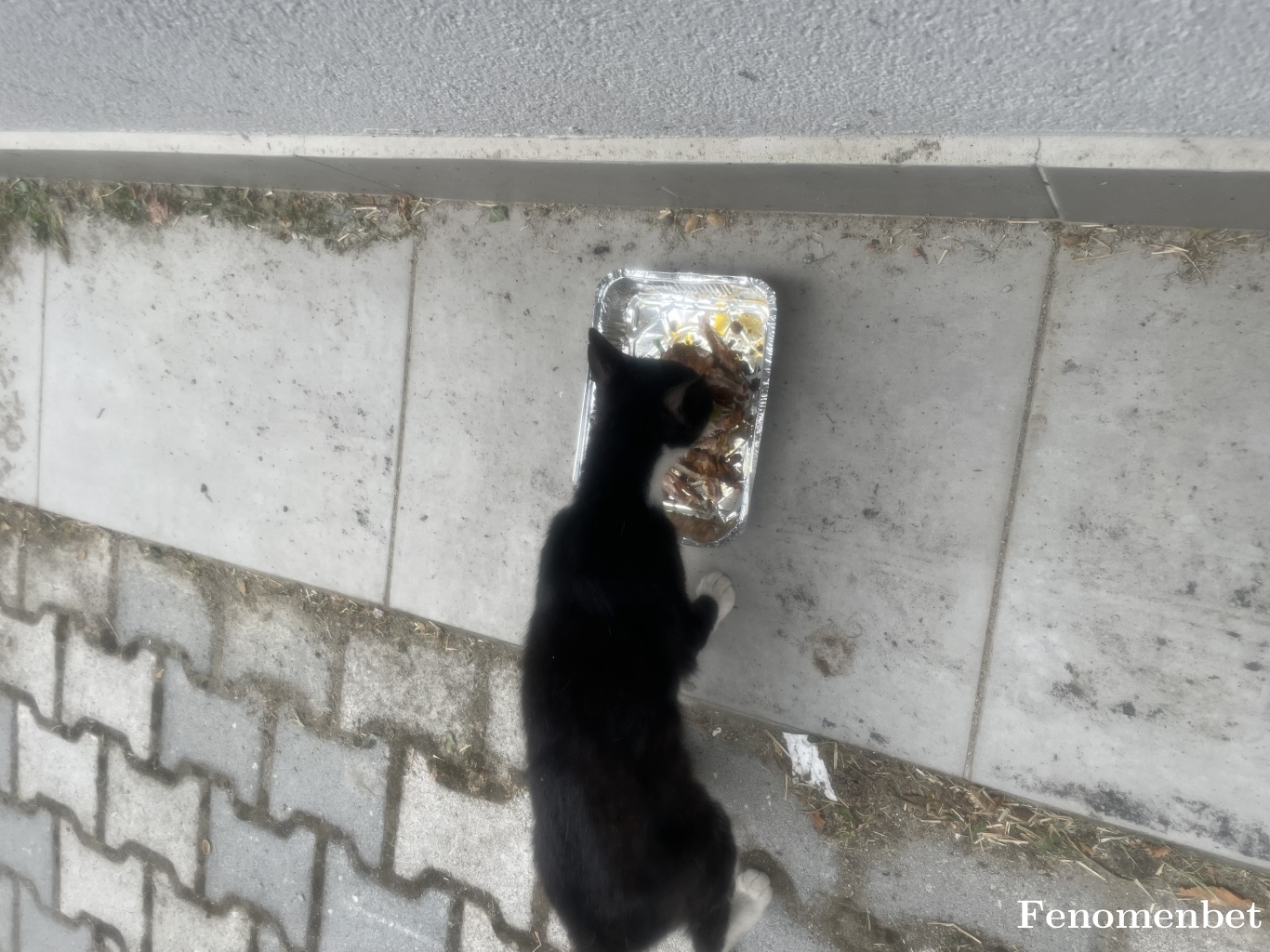 imamK63 tarafından paylaşıldı