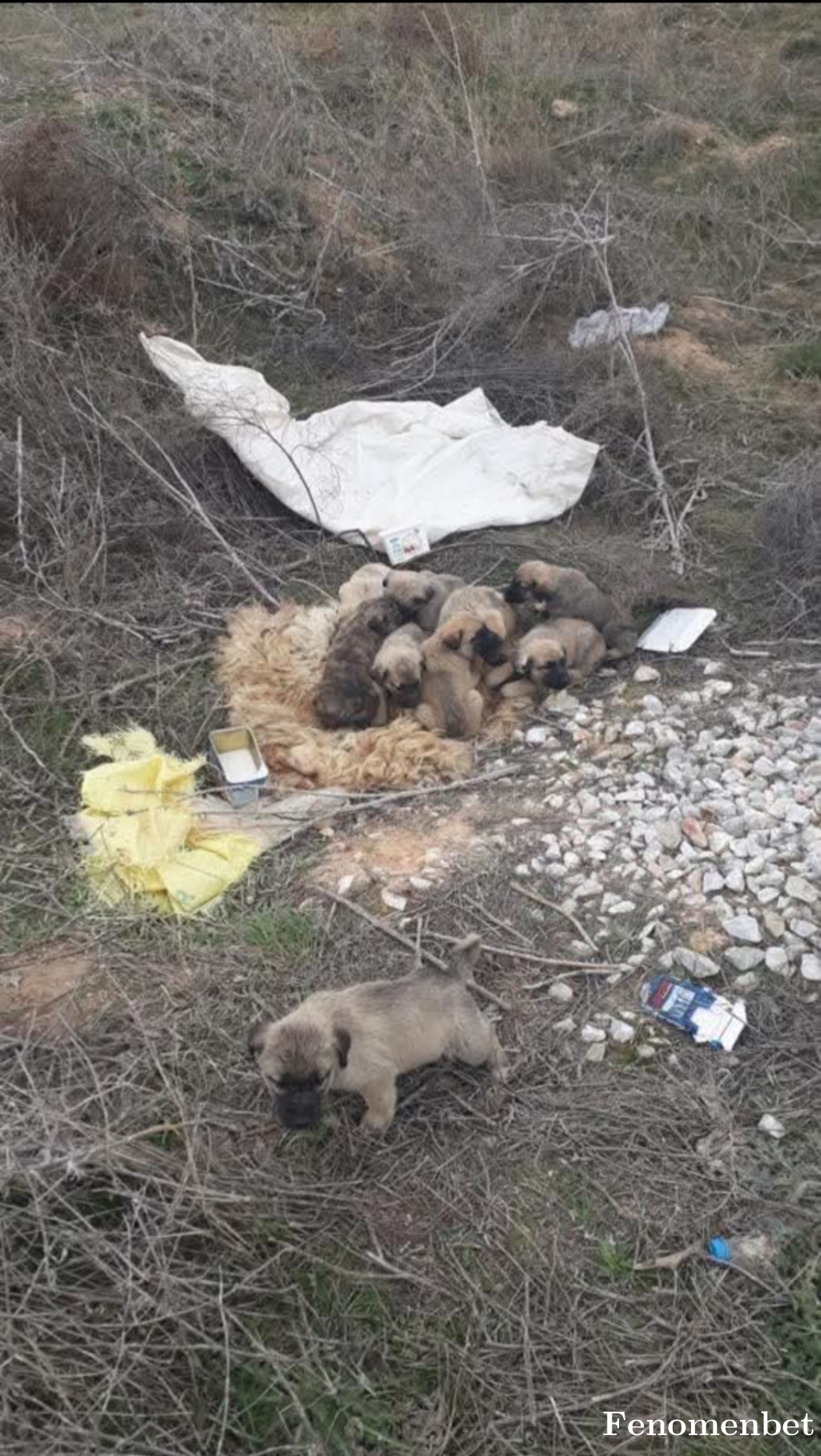 nuri5672 tarafından paylaşıldı