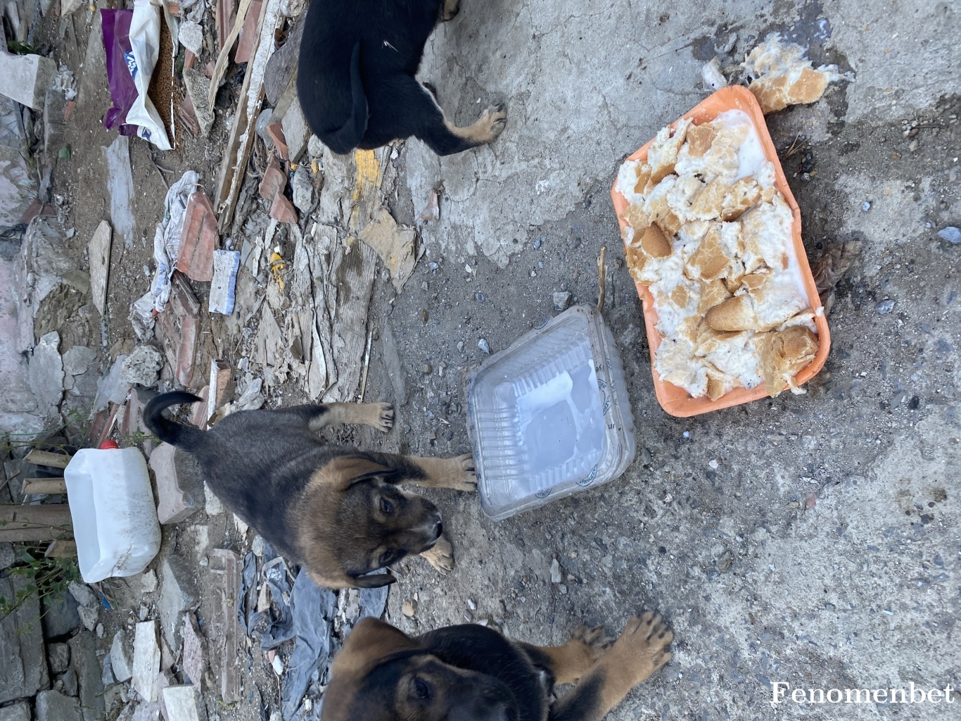 Mabel01 tarafından paylaşıldı