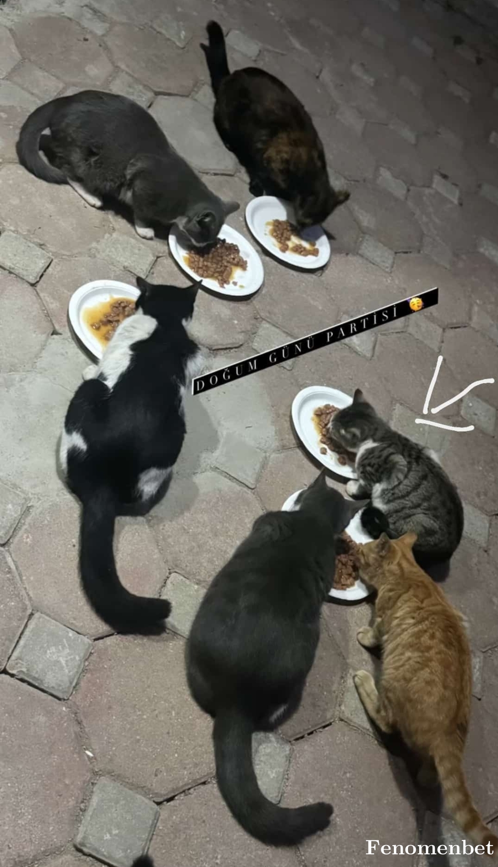 Beran62 tarafından paylaşıldı