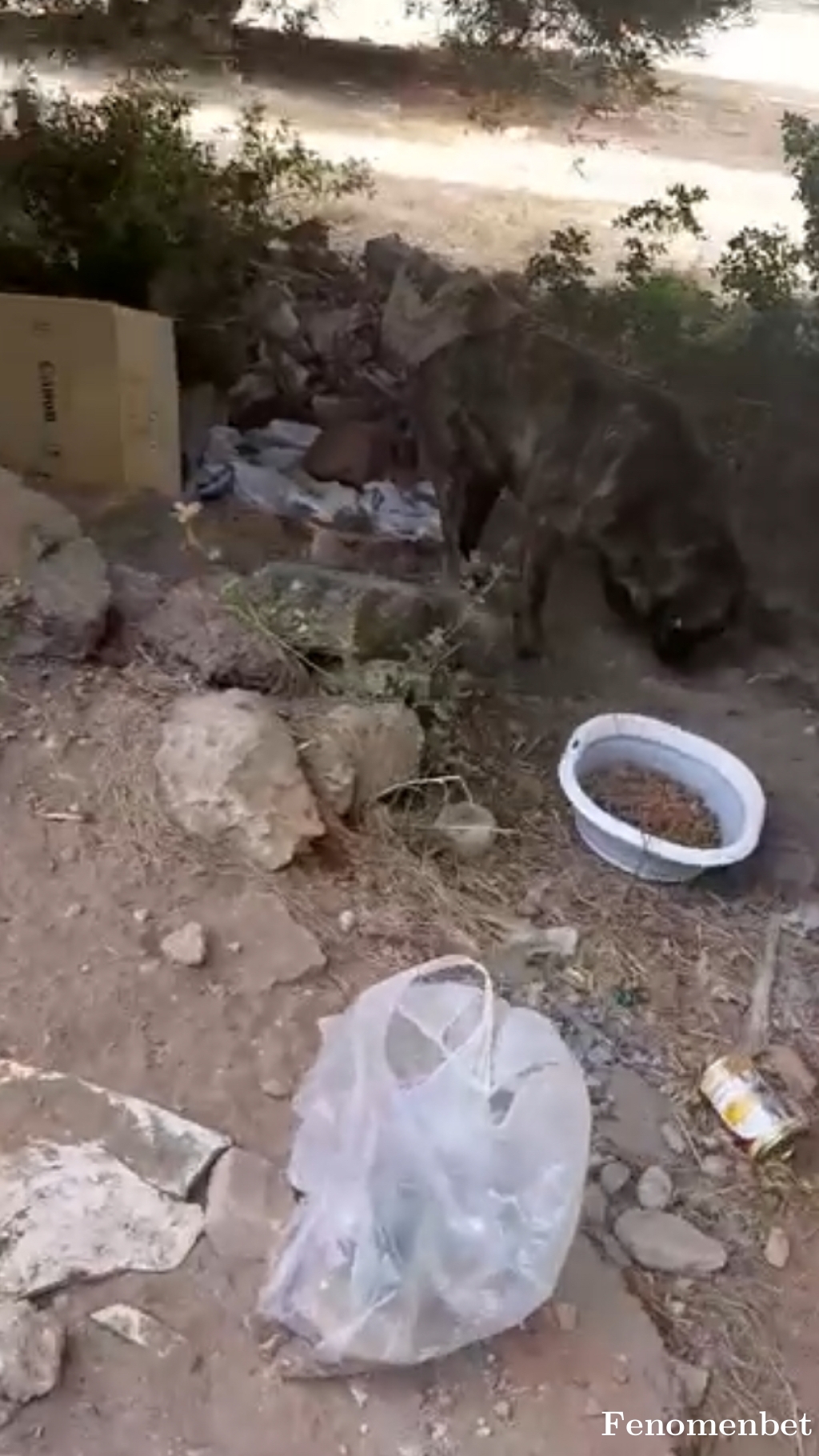 Mustafacan40 tarafından paylaşıldı